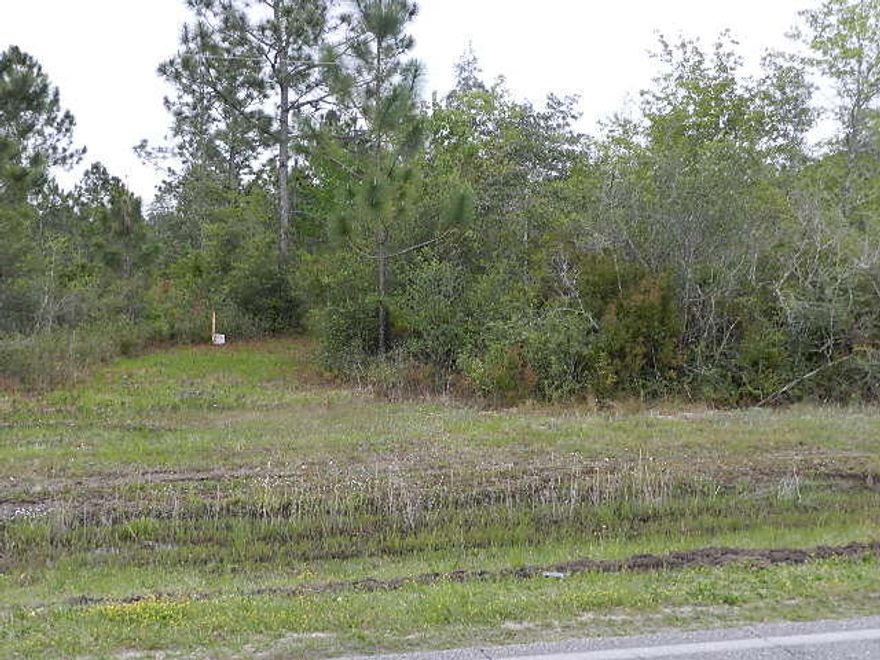 Amazing 4.5 acres, Vacant land, show and sell! RV CAN be parked on the access side of Beagle Trail! There are some uplands by the road, but due to jurisdictional wetlands it will require permitting in order to build.Single Family Home can be permitted by state and Federal agencies to build on land. Elevation is Flat and even;. Wildlife and deer hunting available. Peaceful and Quiet for Recreational Purposes!Great location on Hwy 191 (Munson Hwy) Bordered on the North by Hwy 191, and on the South by Beagle Trail. Land is Wetlands but can be permitted!. When under contract land can only be walked, no changes allowed to land before closing! Close to Milton.