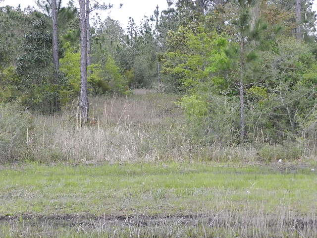 Sec 25, Township 2, Range 25 - Farm