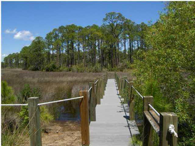 CESSNA LANDING - Land