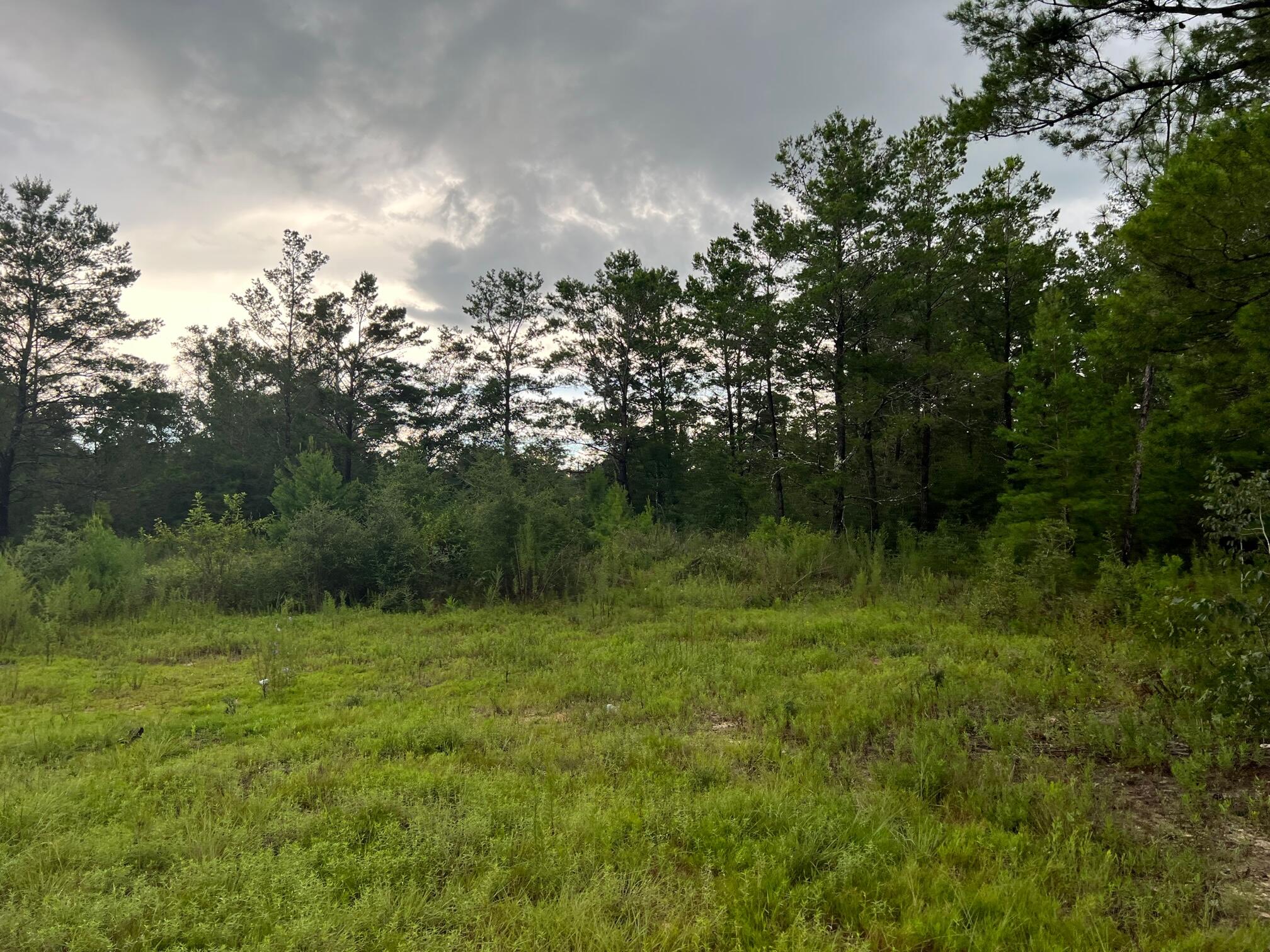 OAKWOOD HILLS UNIT 3 - Land