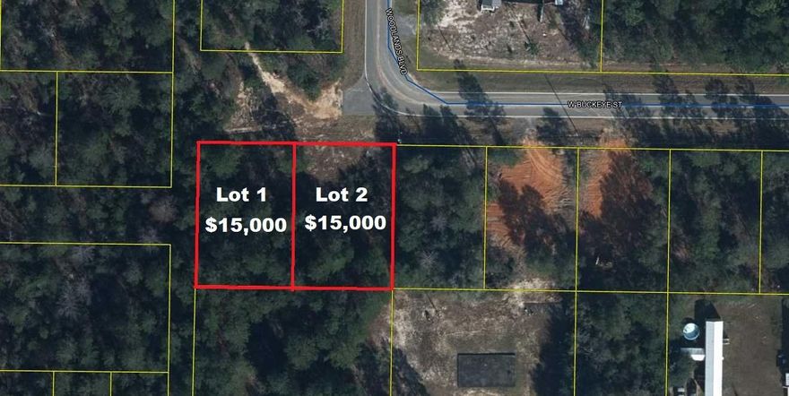 Lightly wooded lot just off paved road in growing Mossy Head community of Defuniak Springs. Property is located minutes from Blackstone Golf Course and I-10. Defuniak Springs and Crestview apx. 20 minutes and apx. 40 minutes to Niceville and Eglin AFB. No utilities currently on the property but power on street Public water is available with paid tap fee. Septic would be required. Adjoining lot 2 is also available for purchase at $15,000.