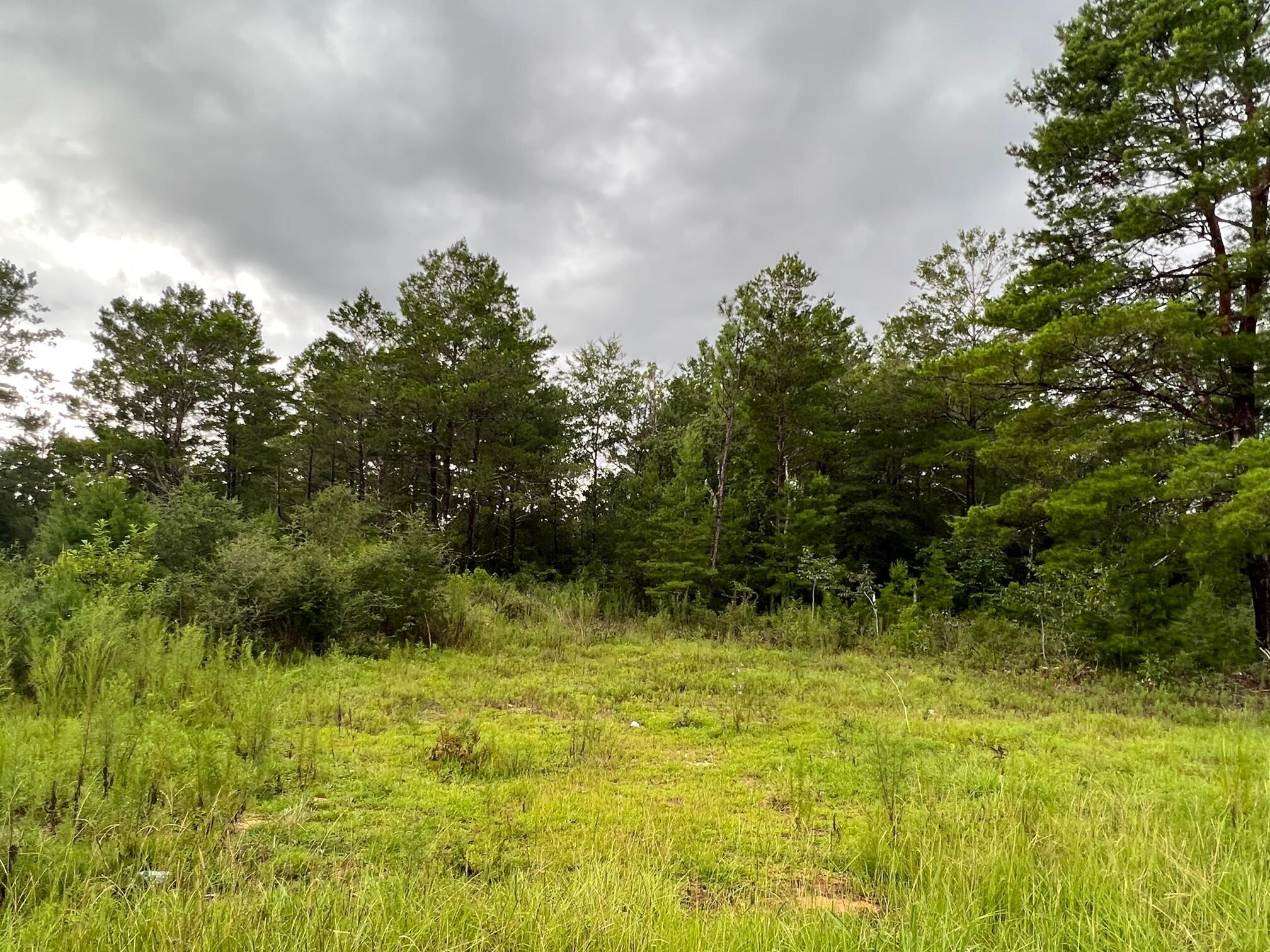 OAKWOOD HILLS UNIT 3 - Land