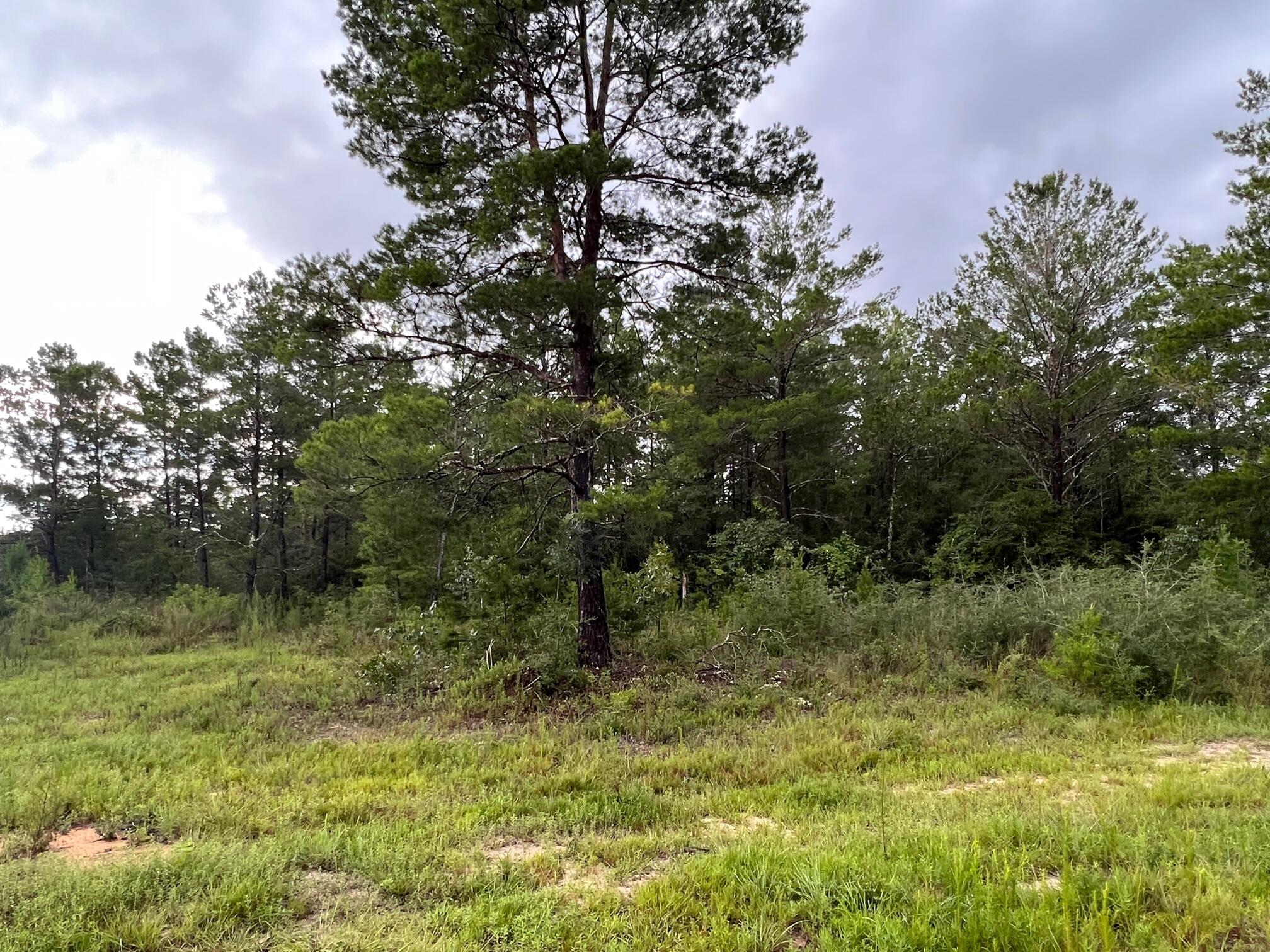 OAKWOOD HILLS UNIT 3 - Land