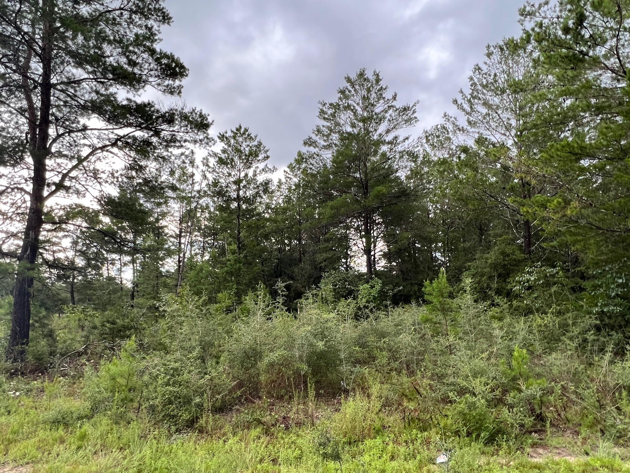 OAKWOOD HILLS UNIT 3 - Land