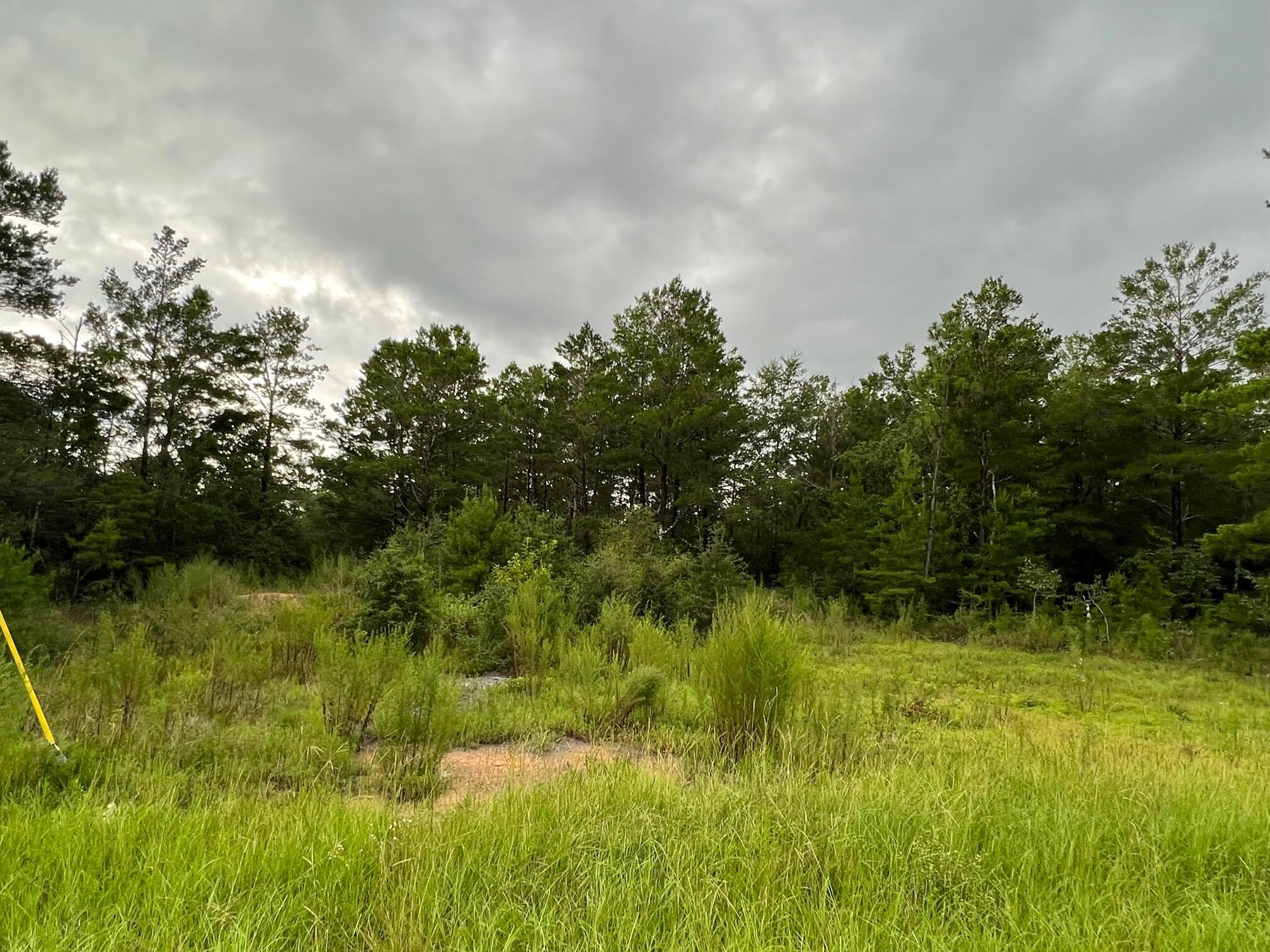 OAKWOOD HILLS UNIT 3 - Land