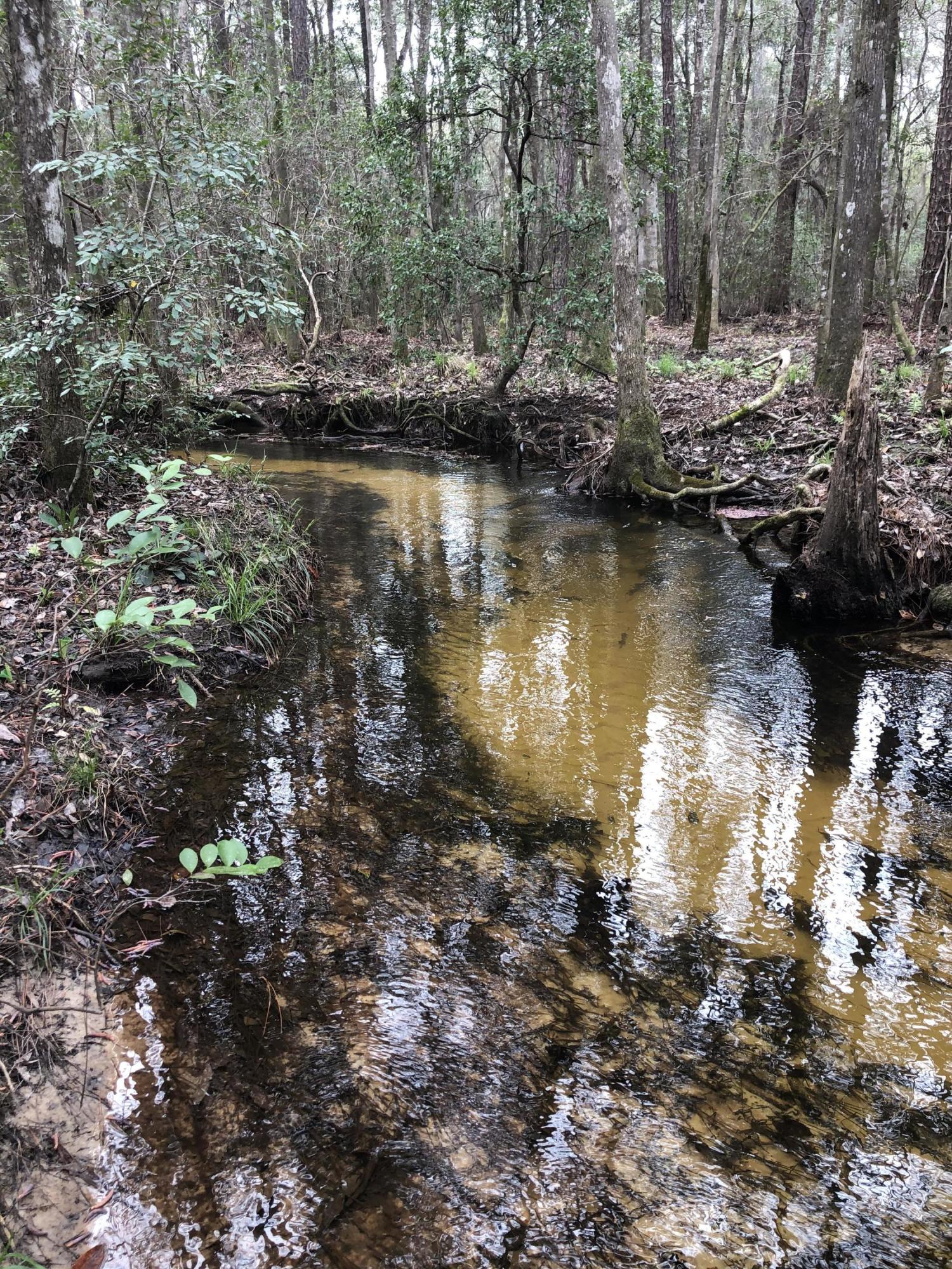 Looking for a few acres to get away from it all, yet close enough to town for the convenience of schools, shopping etc..? Call call today and lets make it happen. This 3.85 acres +- could be the perfect spot to build your home!!Seller has never been to the property.All information deemed important to be varified by buyer.