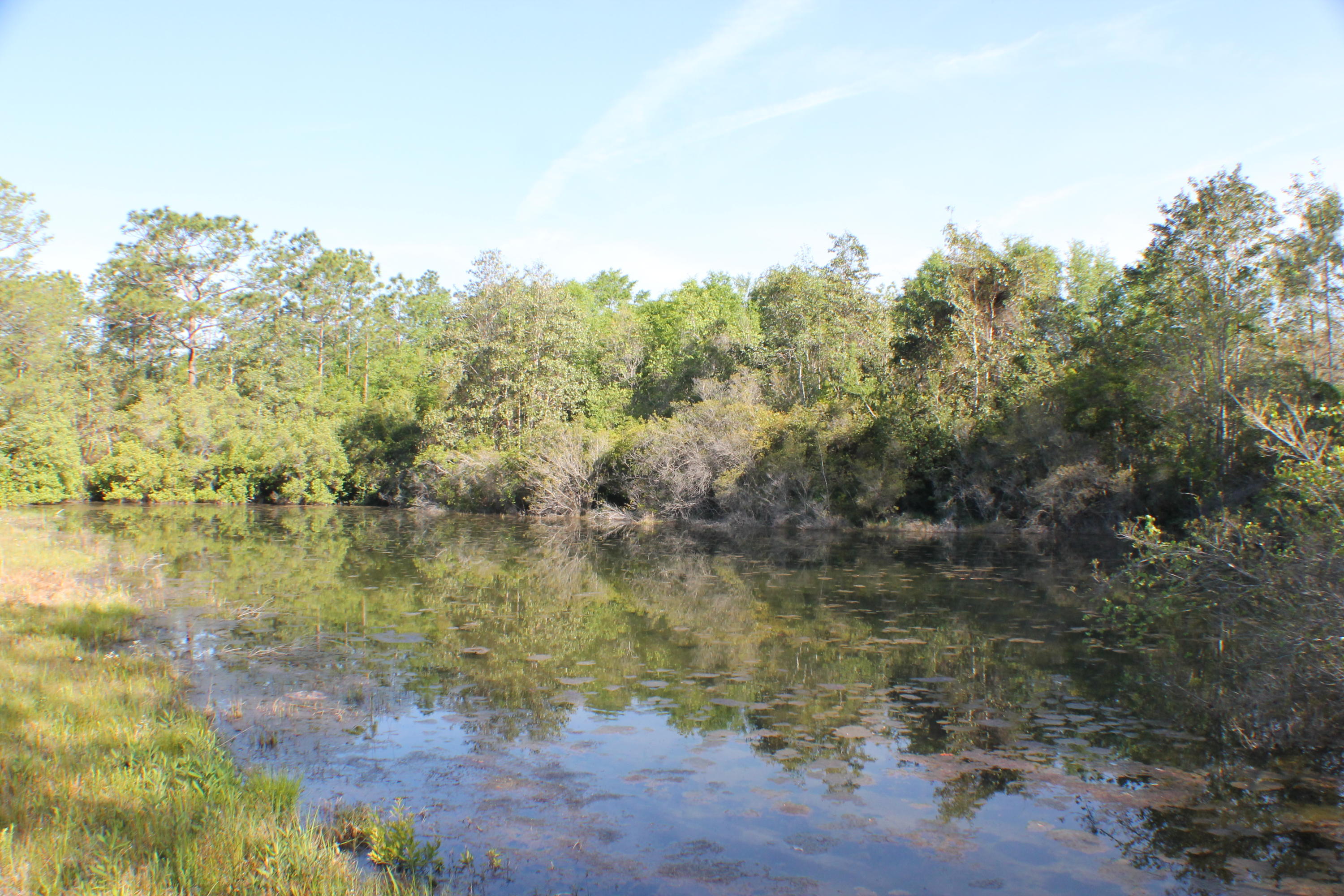 OPPORTUNITIES ADDITION - Residential