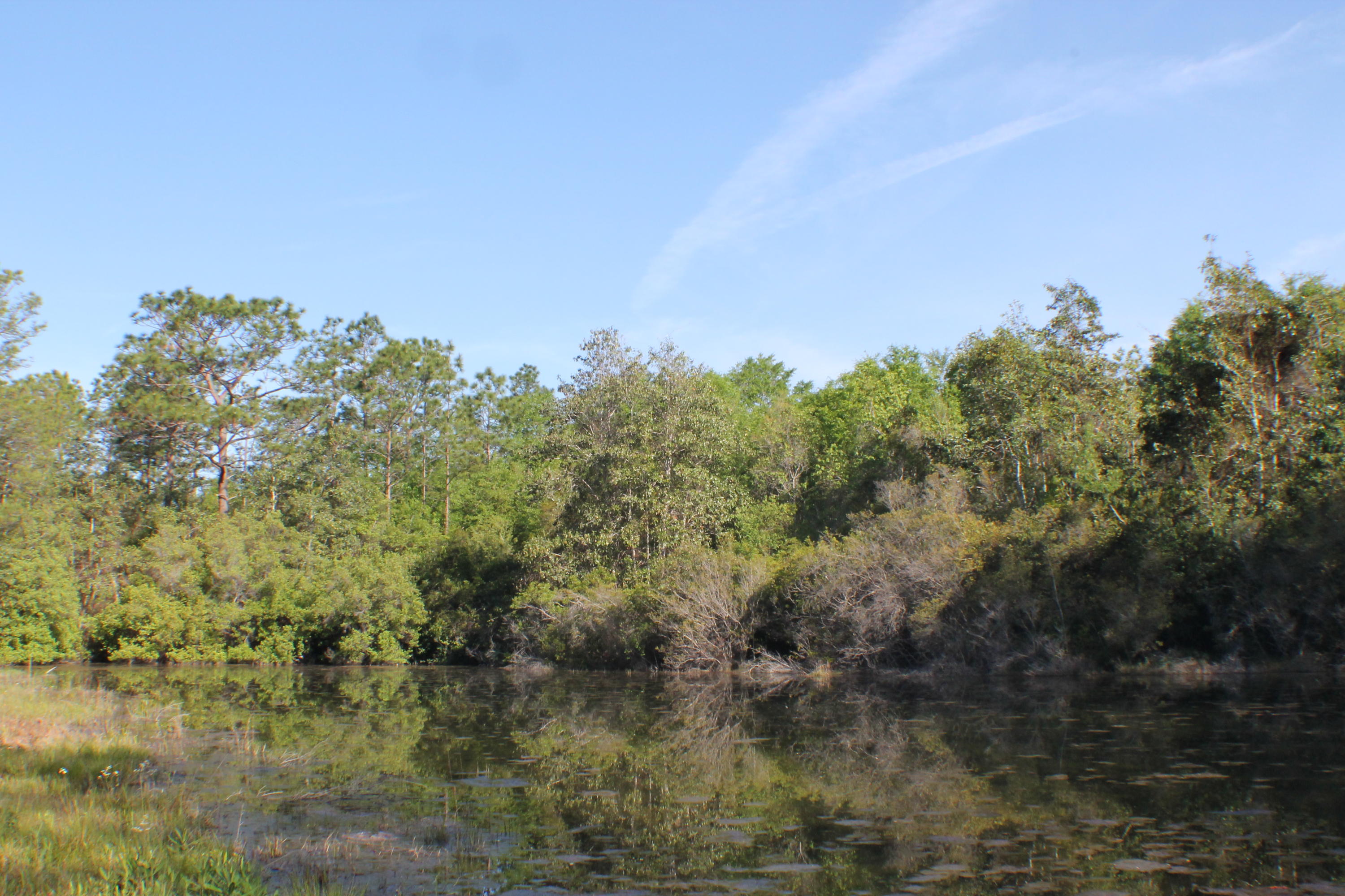 OPPORTUNITIES ADDITION - Residential