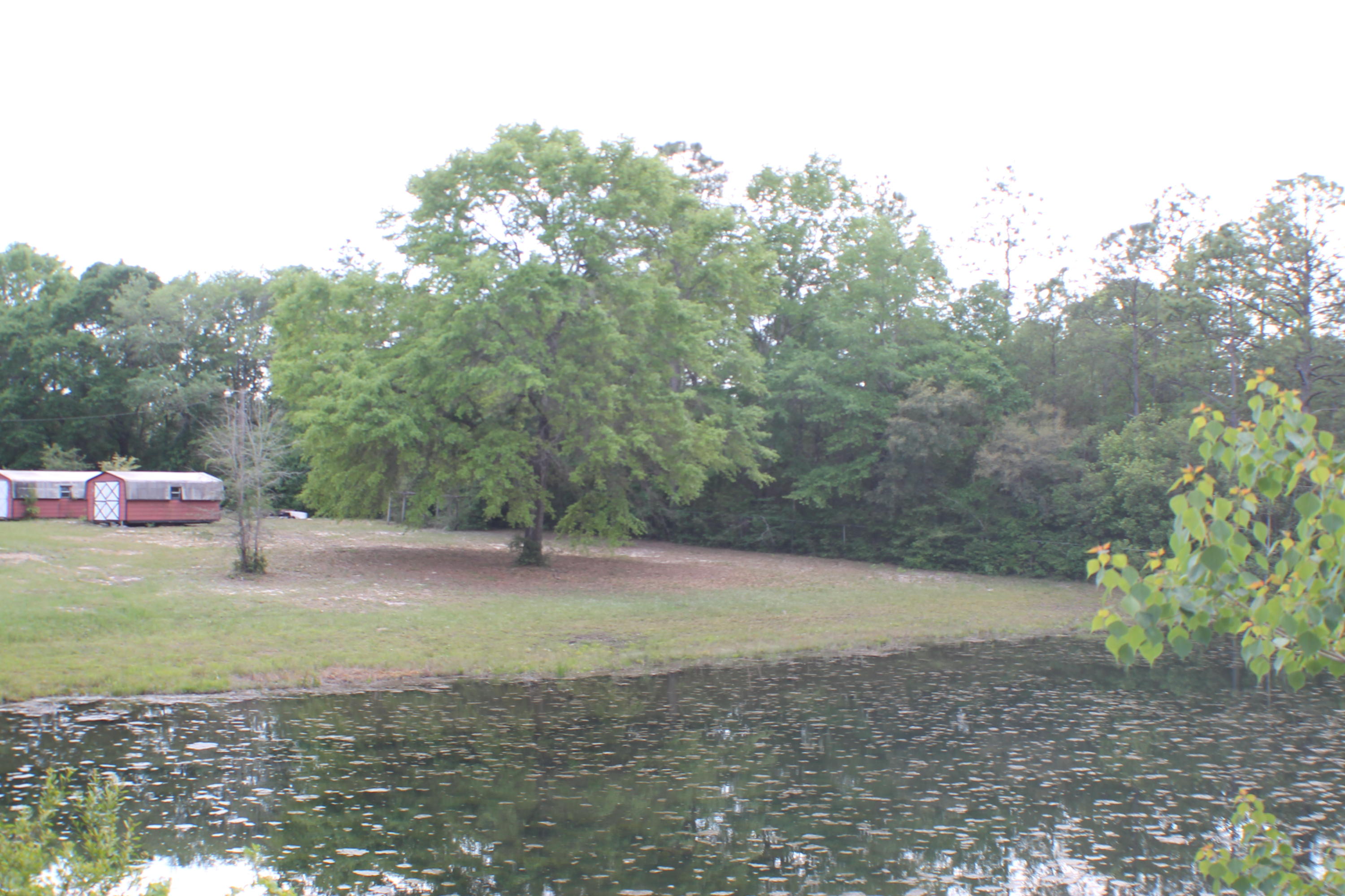 OPPORTUNITIES ADDITION - Residential