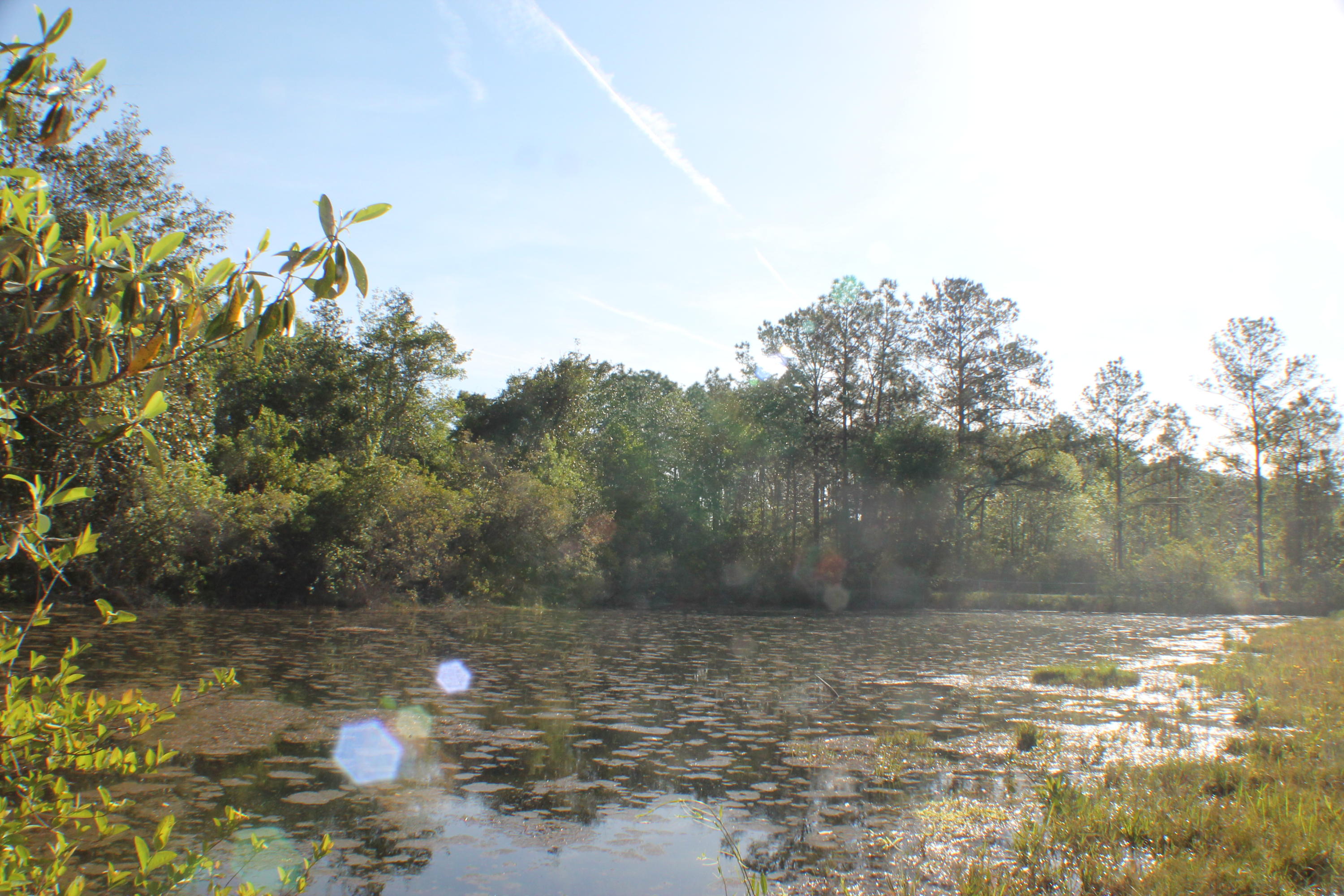 OPPORTUNITIES ADDITION - Residential