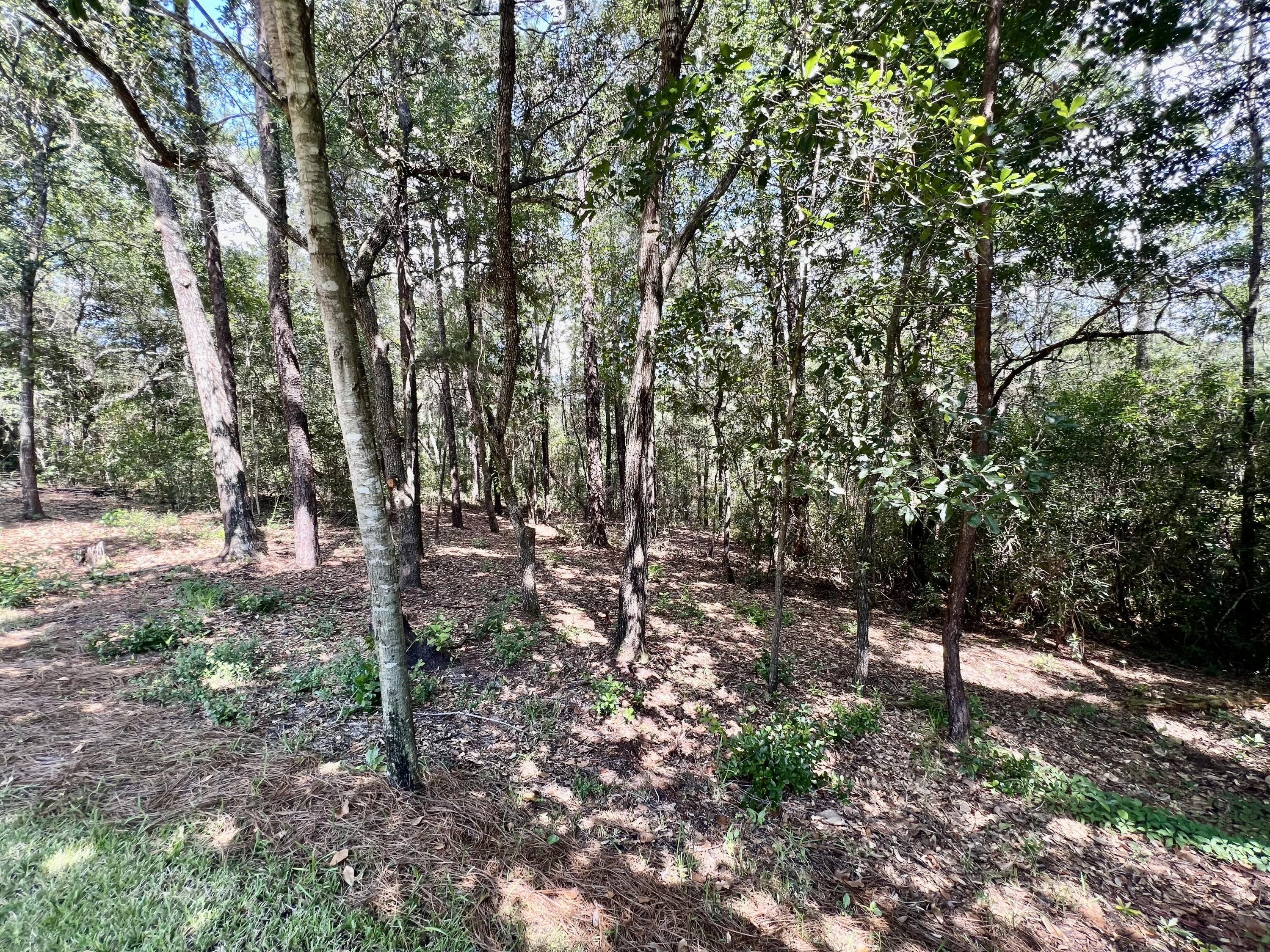 SWIFT CREEK PH VI - Residential