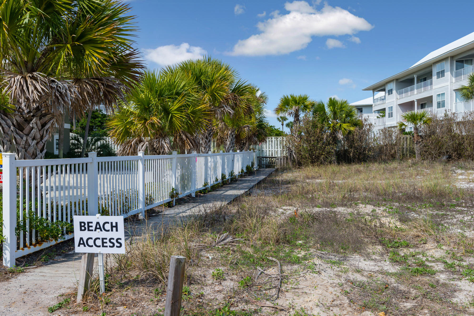 WALK OVER DUNES - Land