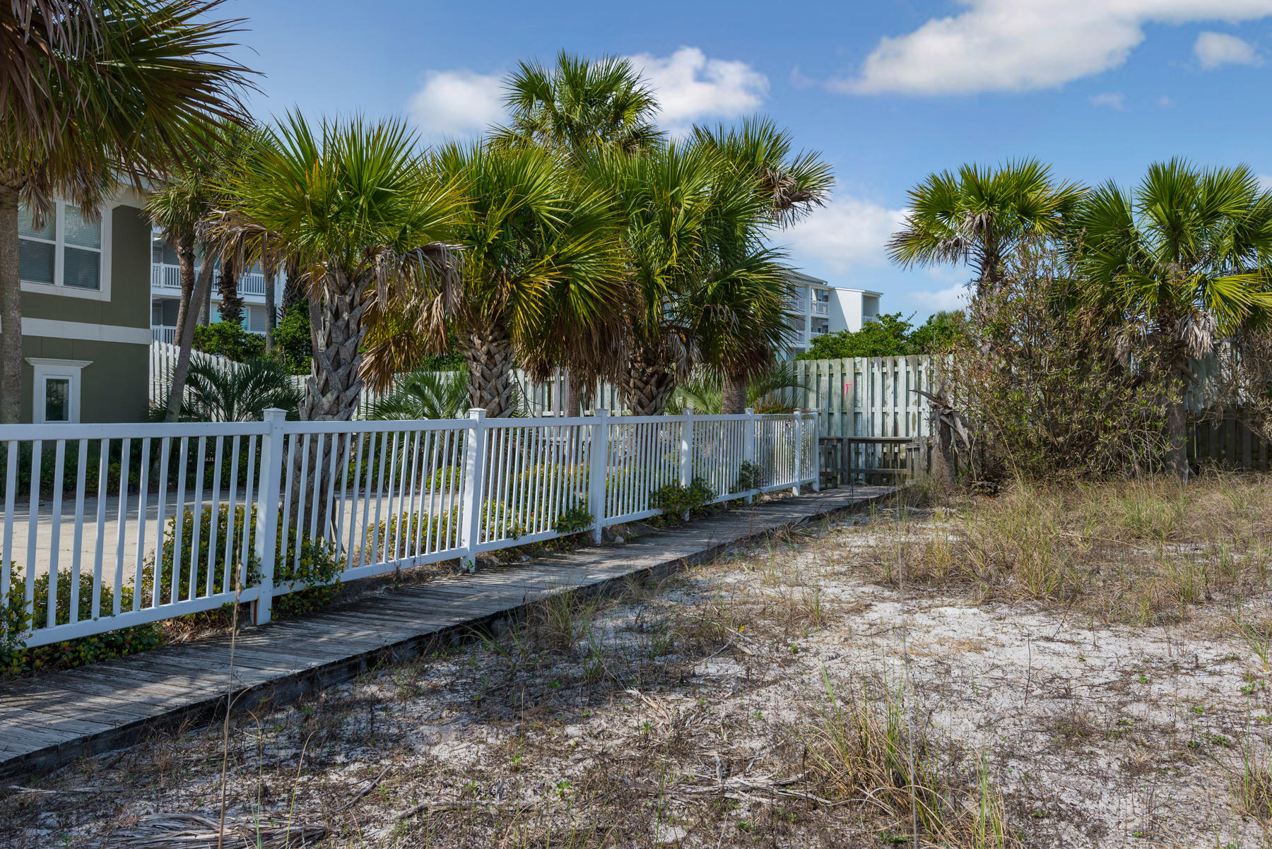 WALK OVER DUNES - Land