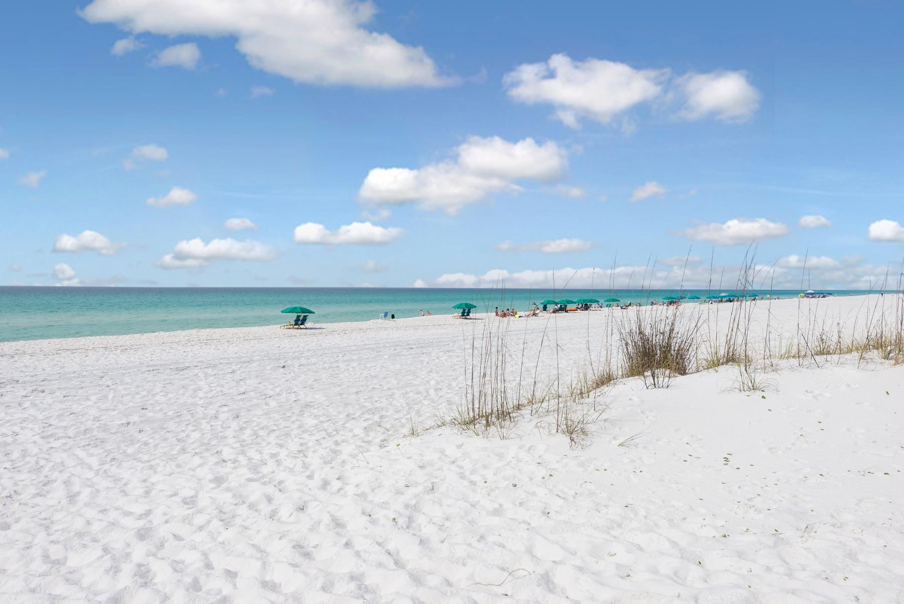 WALK OVER DUNES - Land