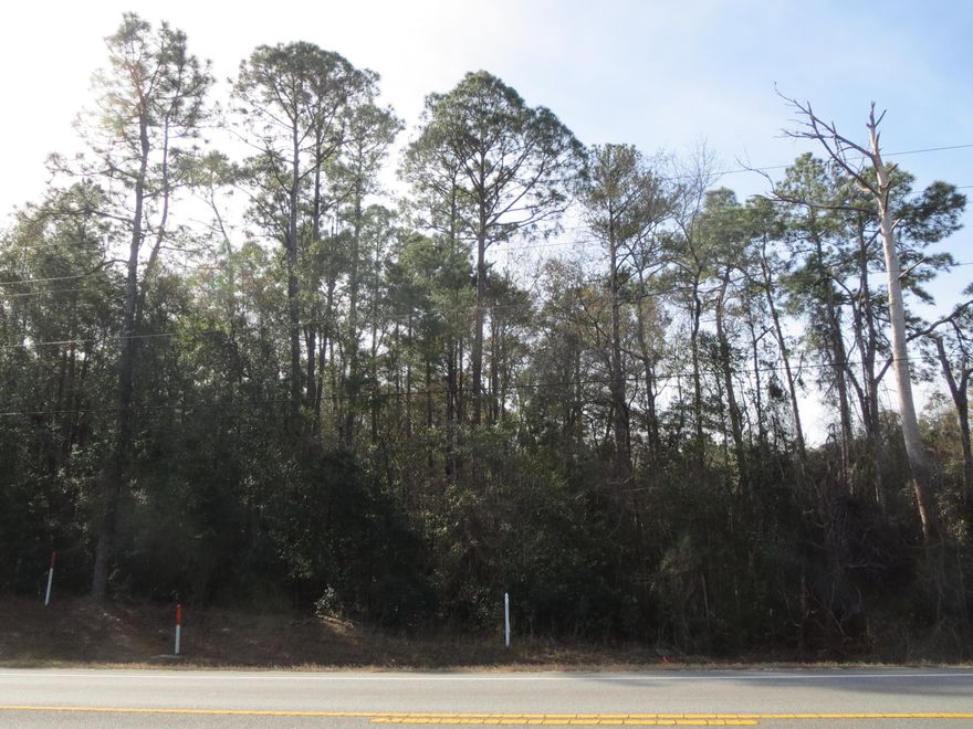 PRICE REDUCED! Best price on commercial land in Freeport! Wooded .861 acre parcel, high and dry, located just 1/2 mile east of the intersection of Hwy 331 and Hwy 20. 100 feet of frontage on Hwy 20. Zoned RC. Great location for an office, restaurant, salon/spa, daycare center, multi-family residential of up to 12 units, single family residential of up to 6 homes, etc. See DOCUMENTS section for full definition of RC zoning.