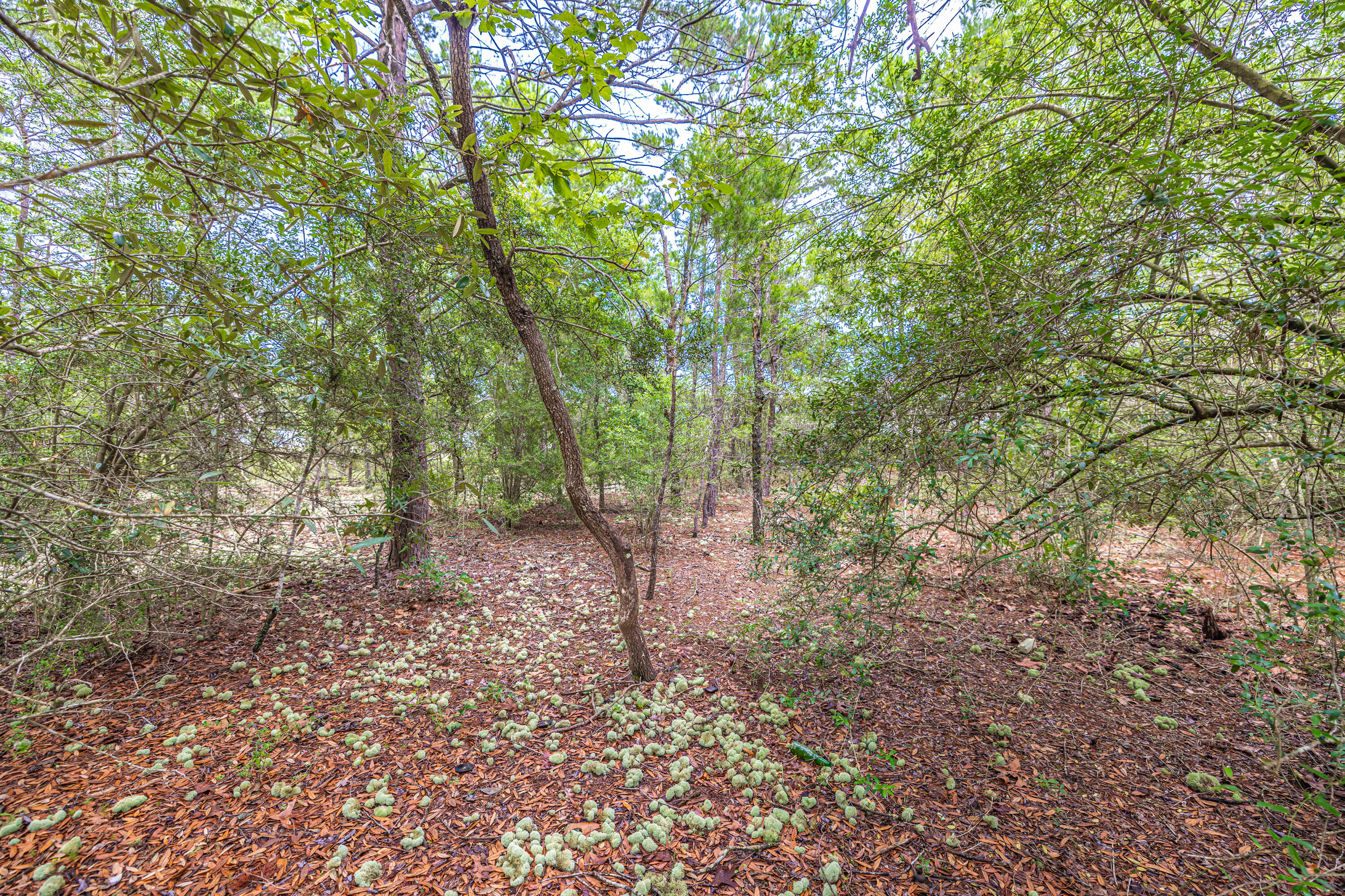 OAKWOOD HILLS UNIT 3 - Land