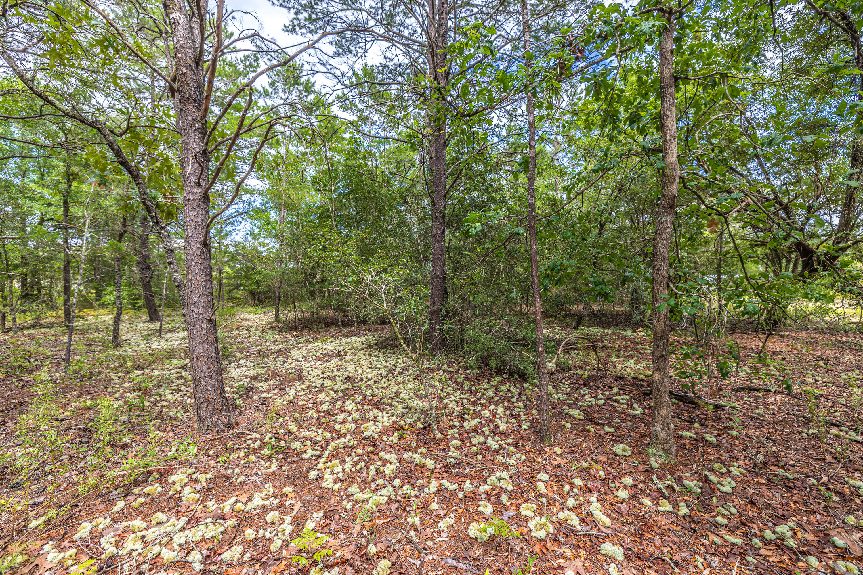 OAKWOOD HILLS UNIT 3 - Land