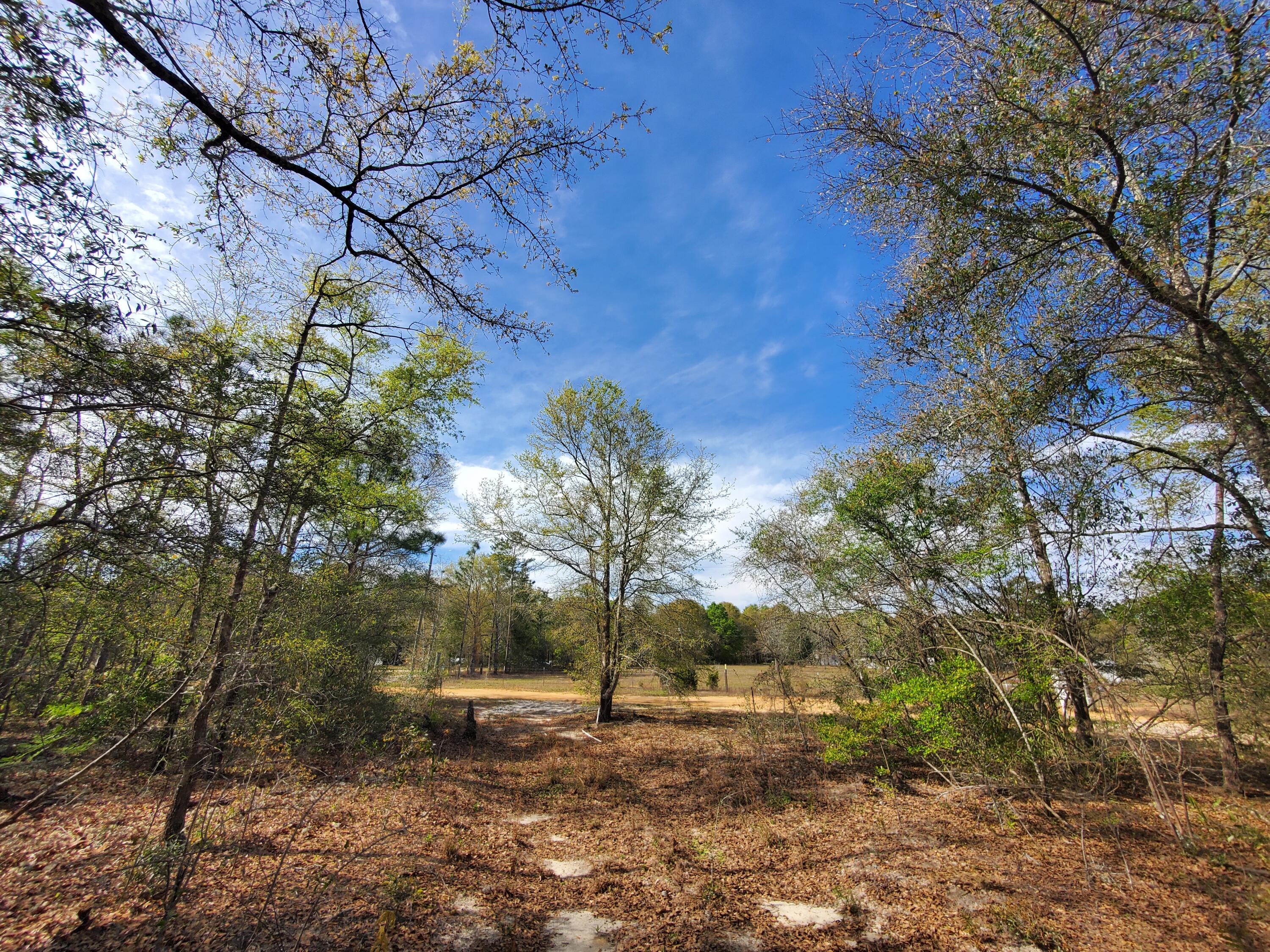 BONAVENTURE RANCHERO PH ll - Land