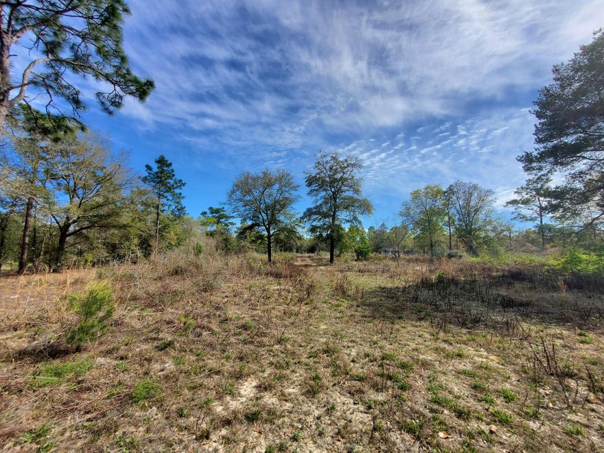 THIS PROPERTY COMES WITH SEPTIC, POWER AND WELL ALREADY IN PLACE. A CONCRETE SLAB APPX 60x44. THERE ARE A COUPLE OF BUILDINGS ON PROPERTY. IT HAS BEEN PARTIALLY CLEARED, THIS IS AN AMAZING PLACE ON A DEAD END ROAD SO YOU WILL HAVE PRIVACY AND VERY LITTLE TRAFFIC. IT IS IN A GREAT LOCATION NEAR TOWN AND ONLY 35 MINUTES TO THE SUGAR SAND BEACHES!