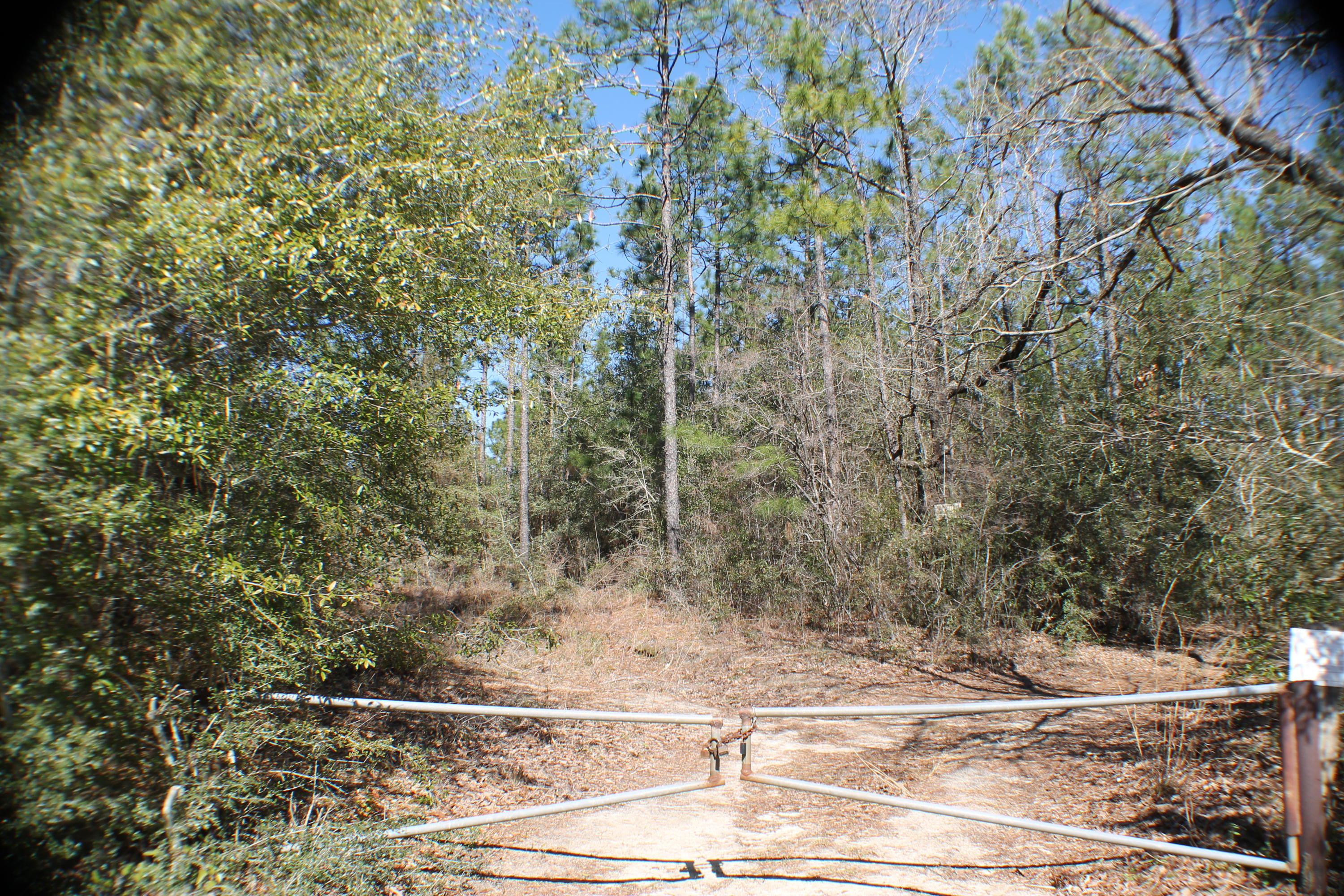 METES & BOUNDS - Farm