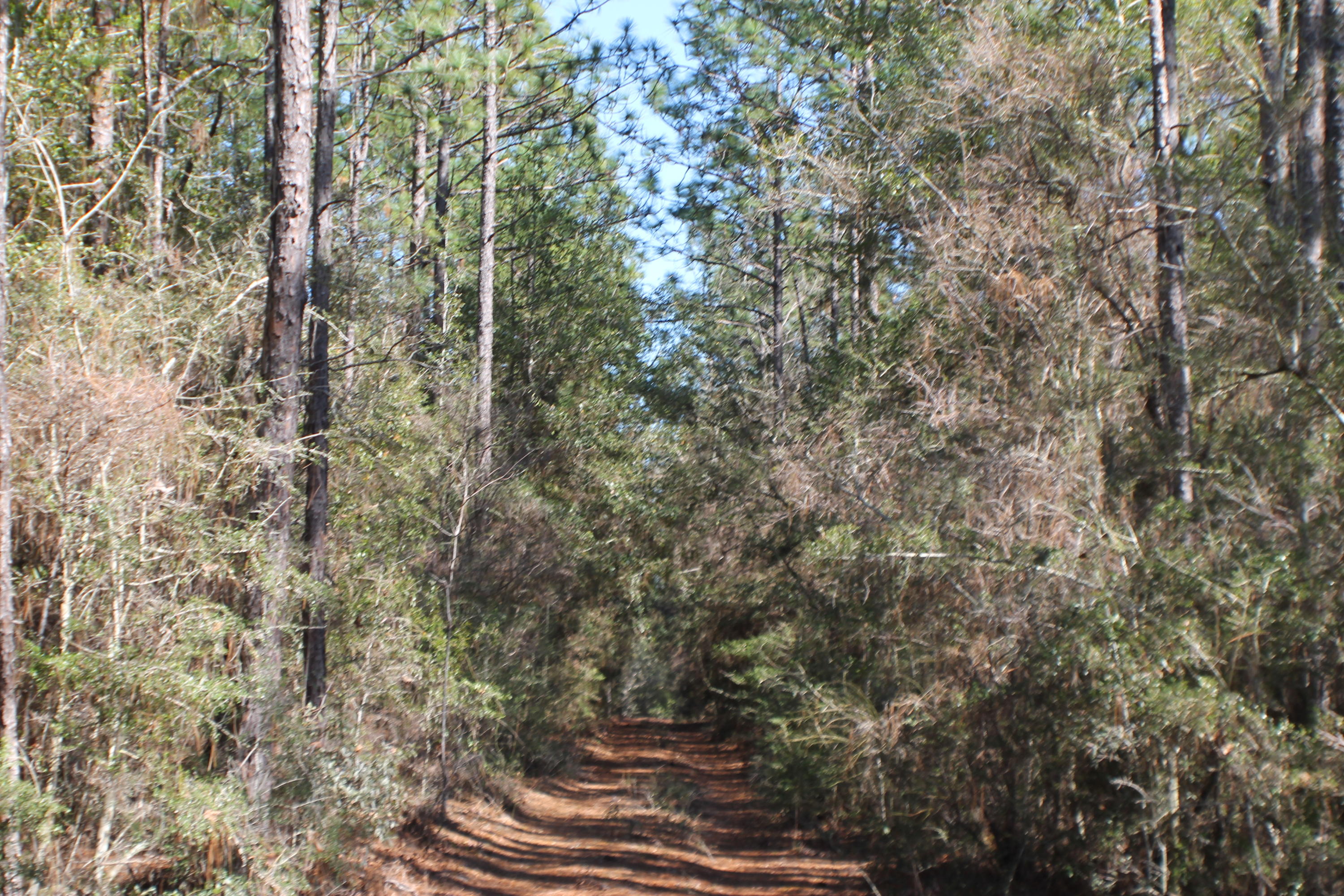 METES & BOUNDS - Farm