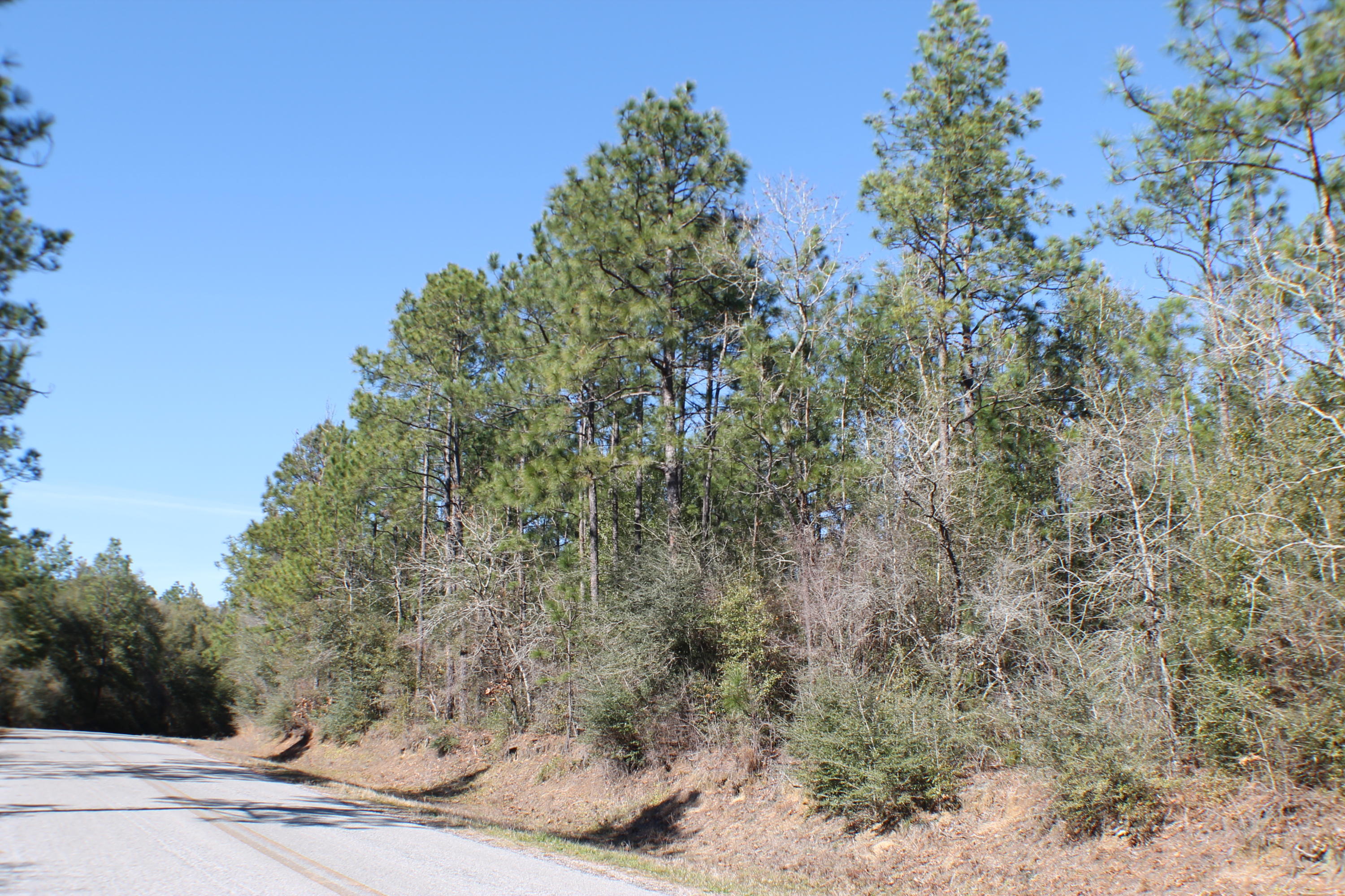 METES & BOUNDS - Farm