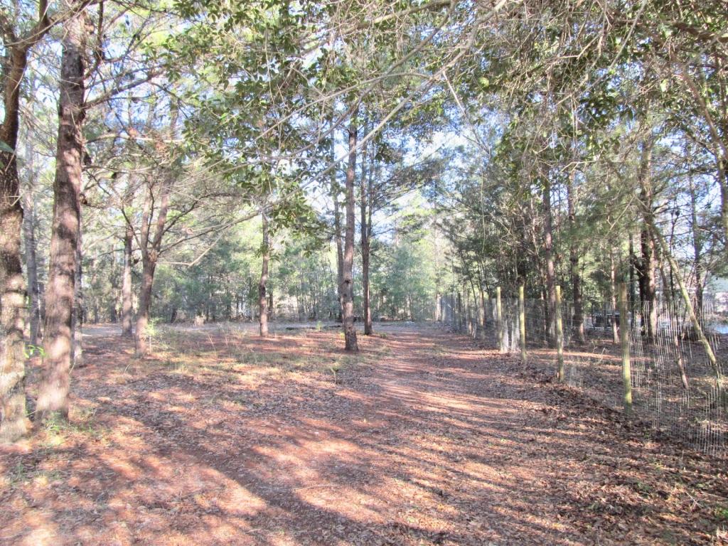 Orlosky House - Residential