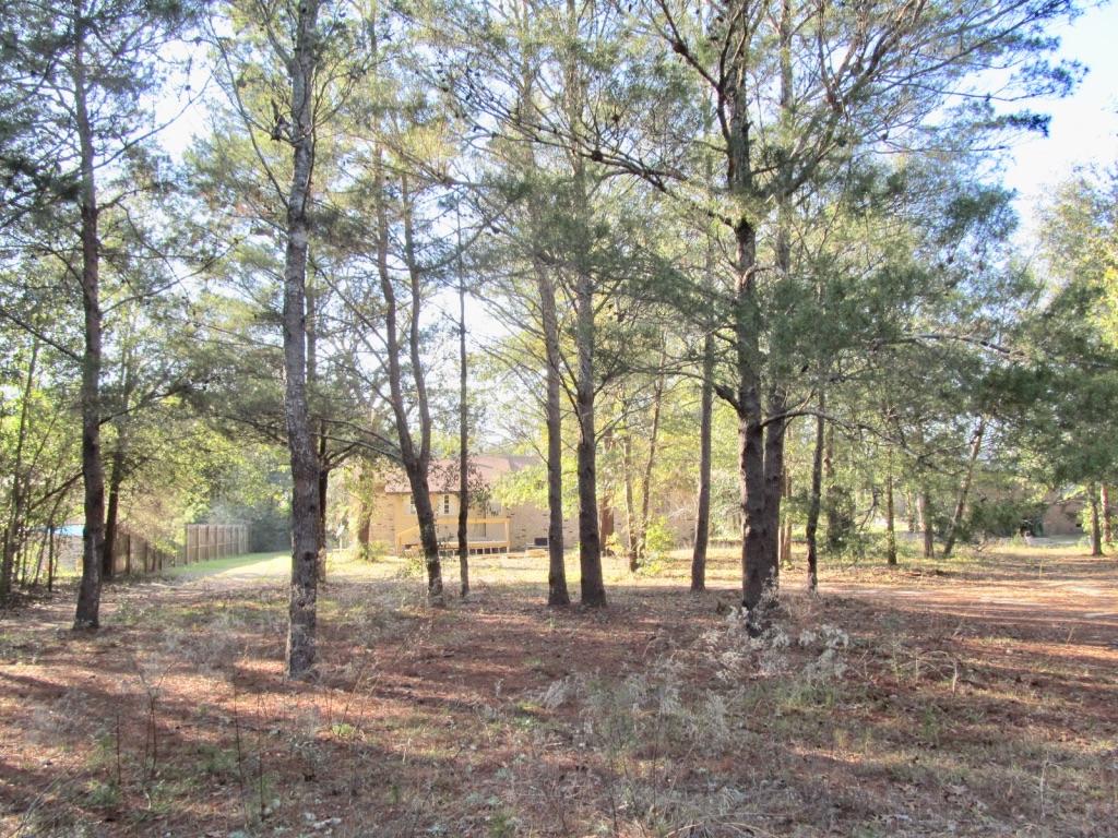 Orlosky House - Residential
