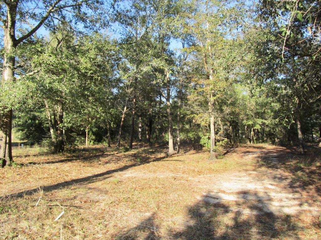 Orlosky House - Residential