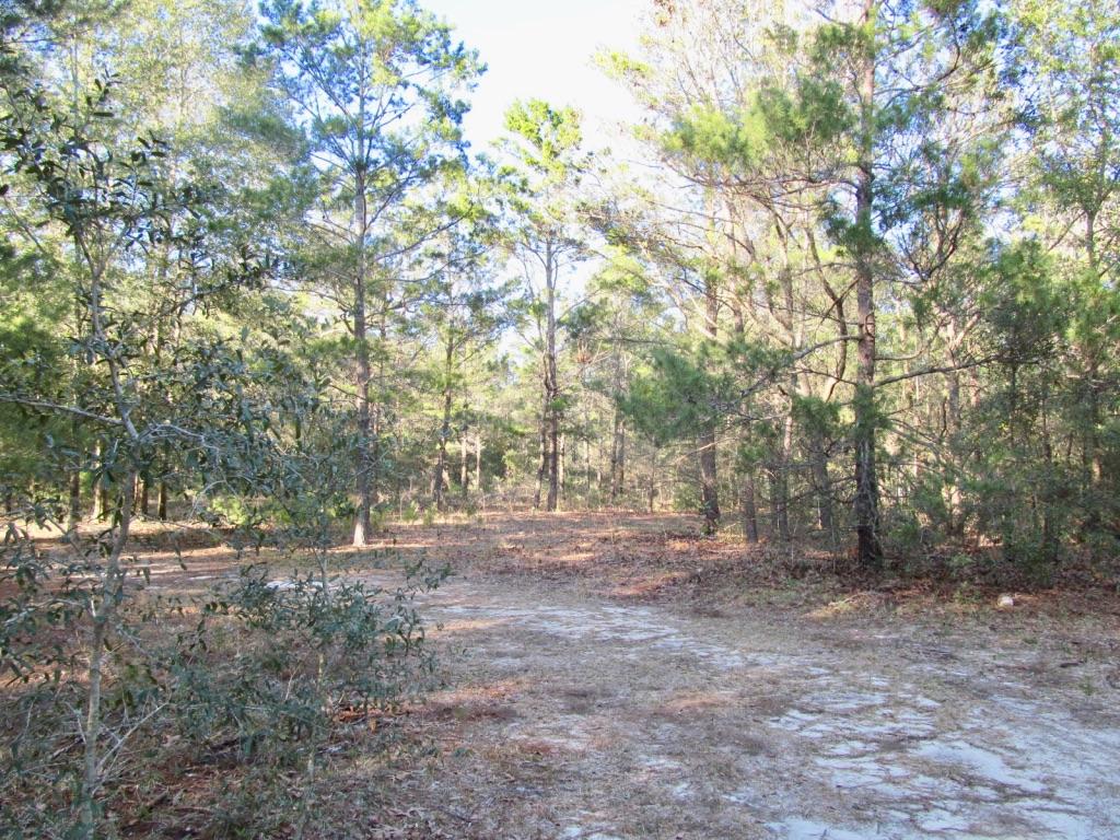 Orlosky House - Residential