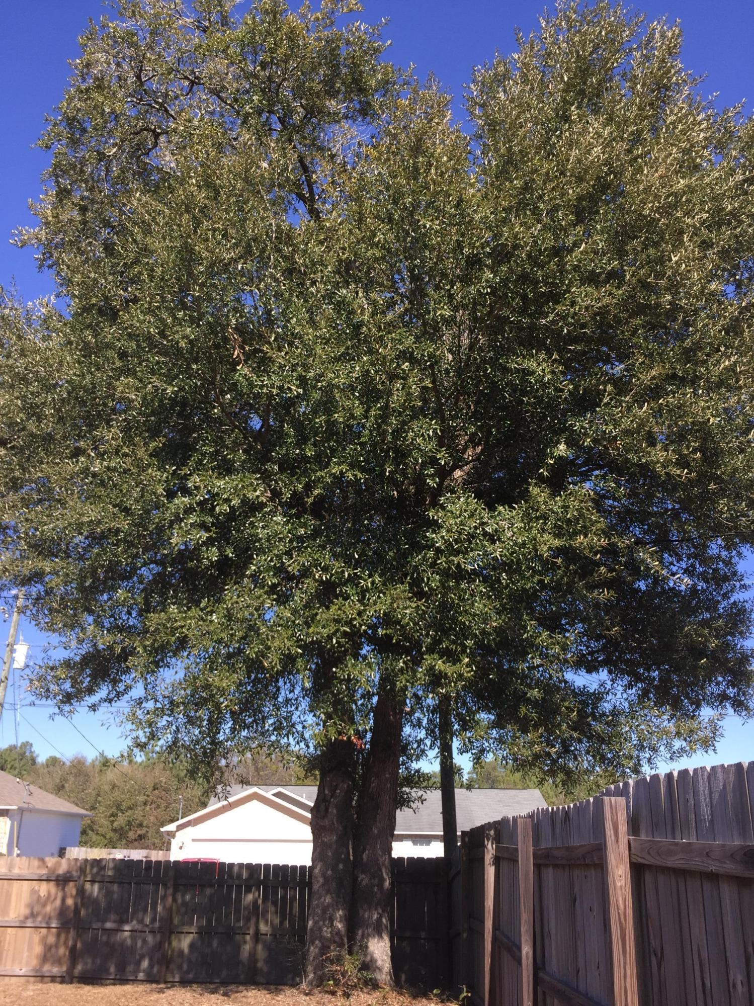 FAIRCHILD ESTATES - Residential