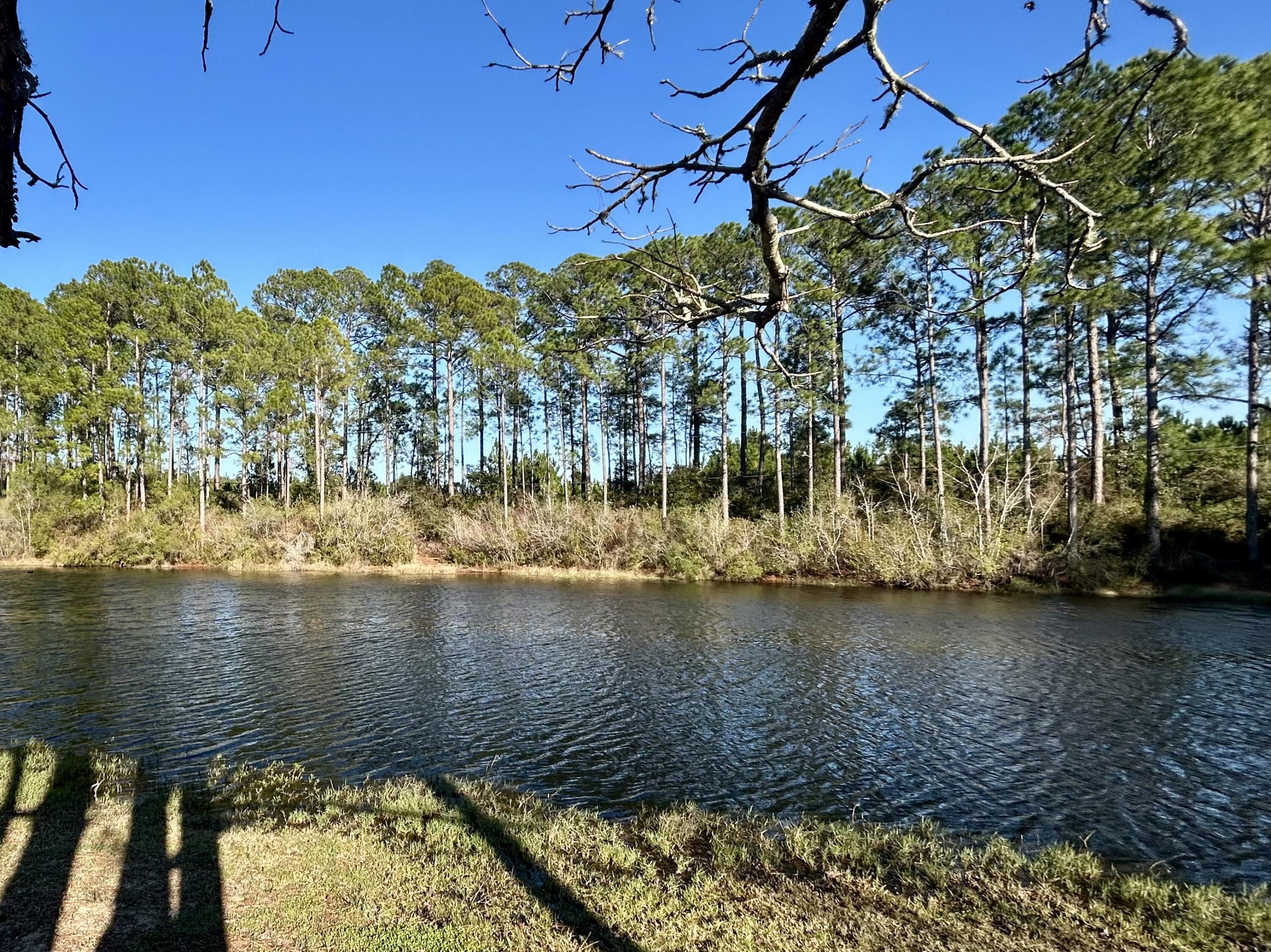 WILLOW BEND PH 1 - Residential