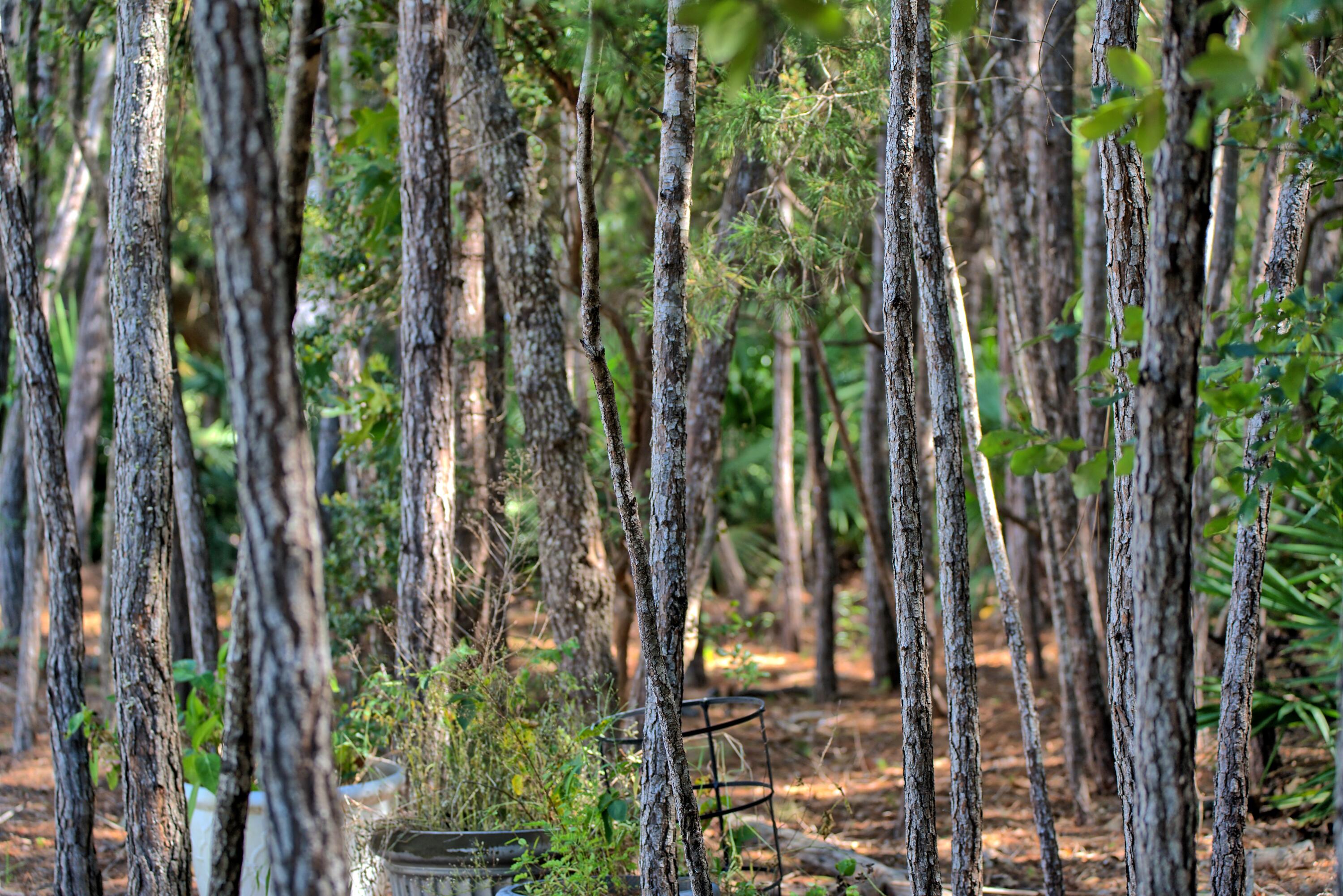 WHITES GULFVIEW ESTATES 2ND ADDN - Residential