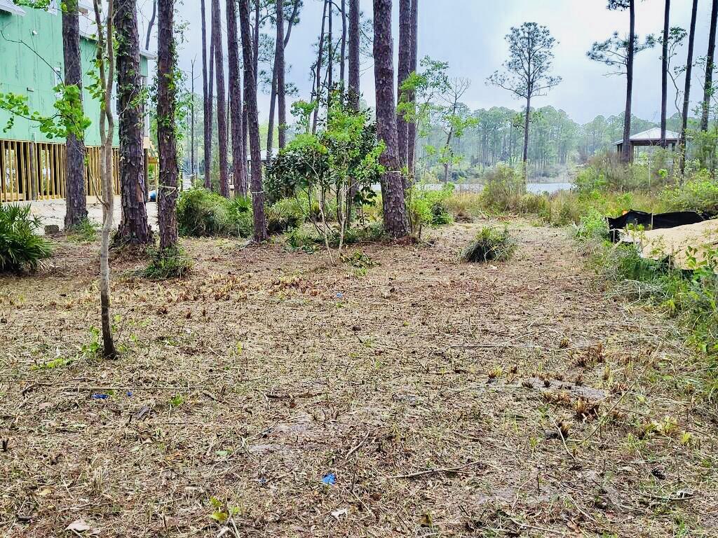 CESSNA LANDING - Land