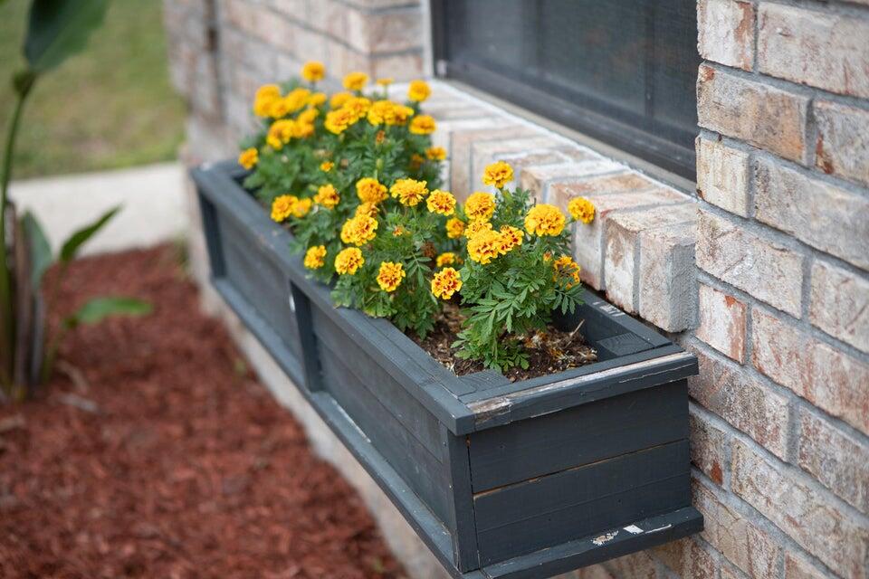 PLANTATION OAKS S/D - Residential