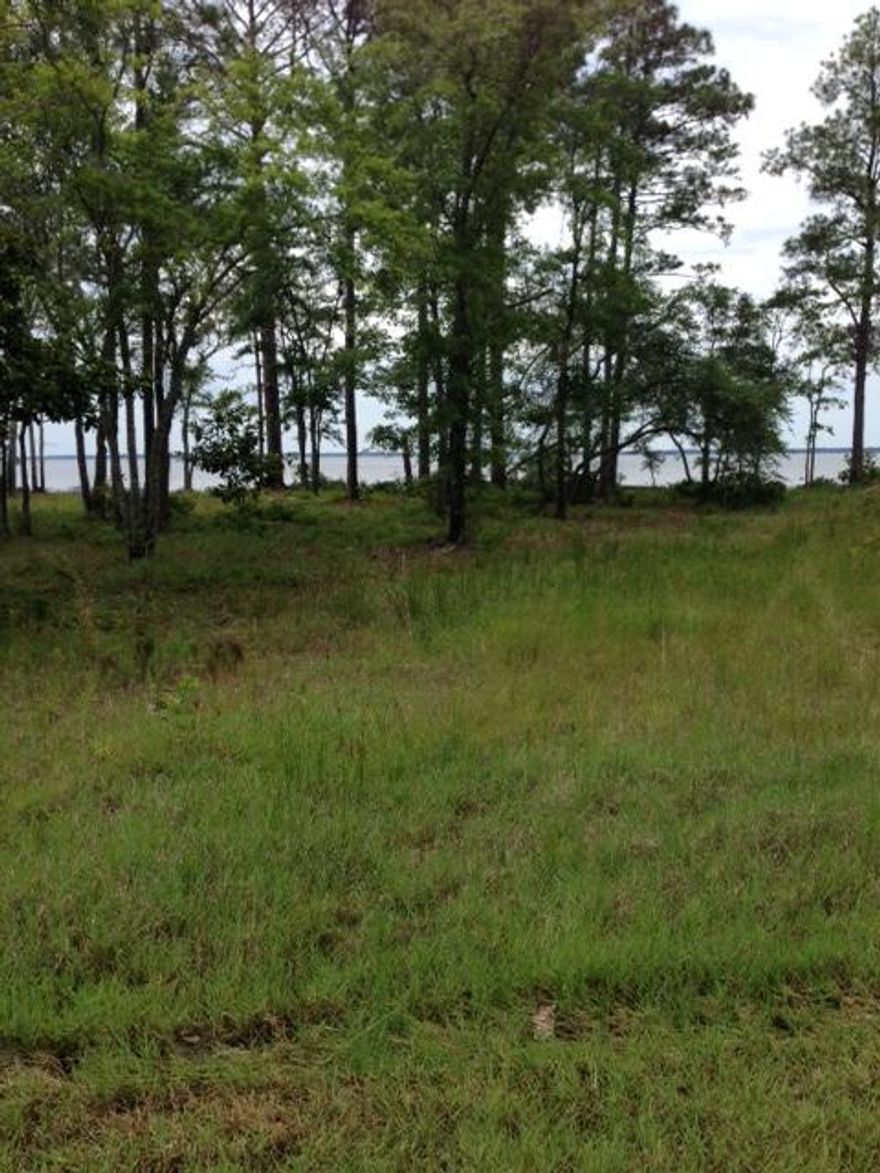 ** HUGH PRICE REDUCTION FOR QUICK SALE** BEAUTIFUL SUNSETS OVER THE BAY!! Choctawhatchee Bay Exceptional Lot - a waterfront lot in the ''X'' Flood Zone meaning no required Flood Insurance! Robola Bluffs S/D has Restrictive Covenants established. This Bayfront lot is in its natural, pristine state just waiting for a new home. Lot has City Water & Sewer Available. Adjoining lot also available - extreme estate-site for a luxury home. Several new homes near-by. Bayfront Opportunity!