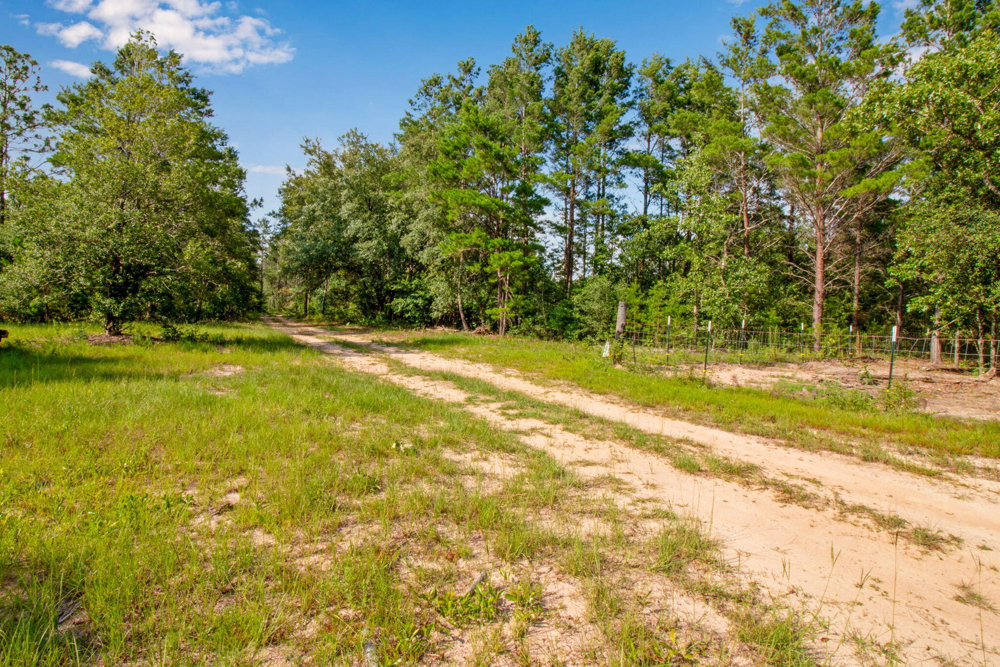 NONESUCH WAY - Residential