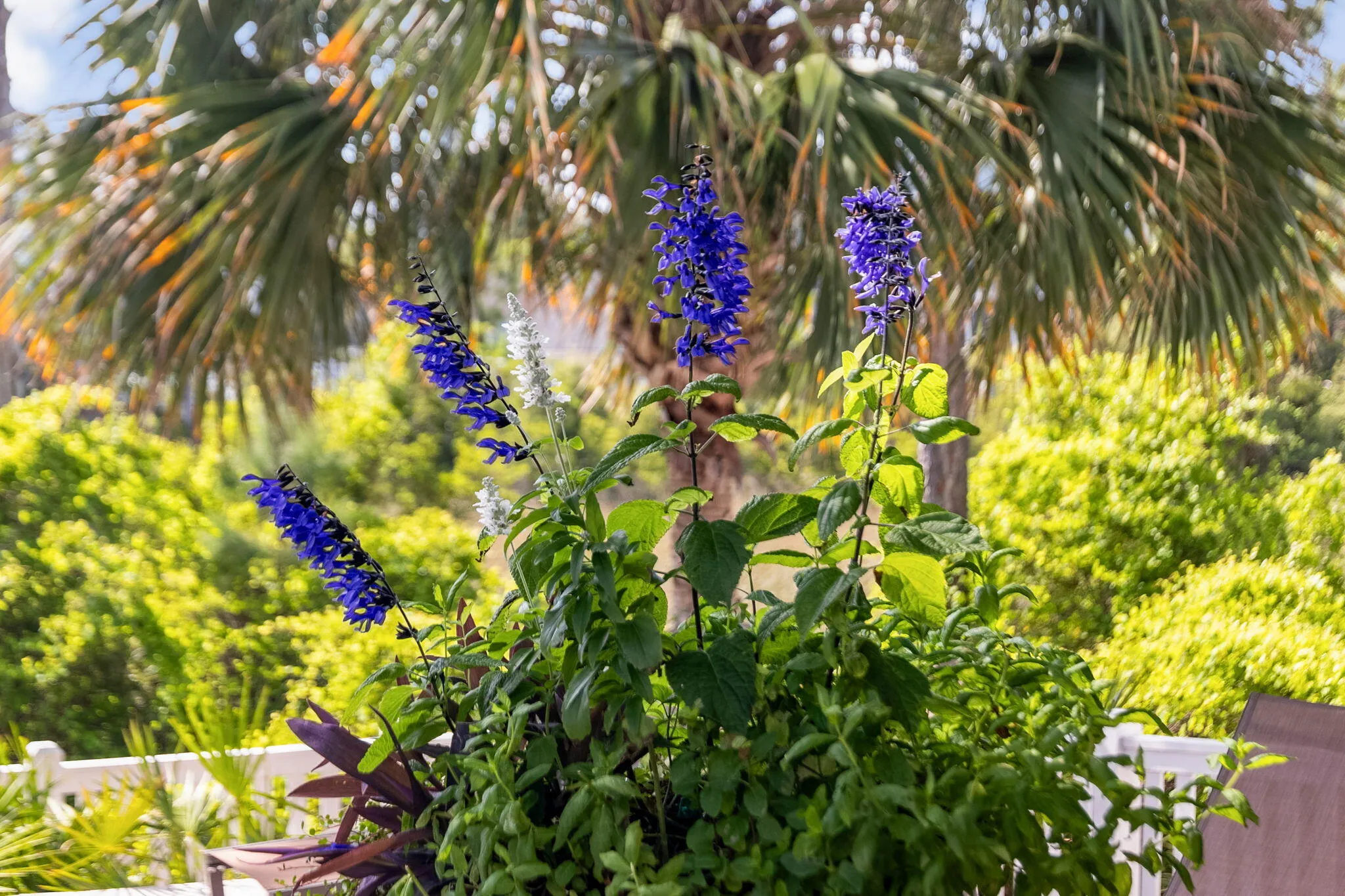 Watersound, Florida, 32461, United States, 5 Bedrooms Bedrooms, ,6 BathroomsBathrooms,Residential,Active,1953232