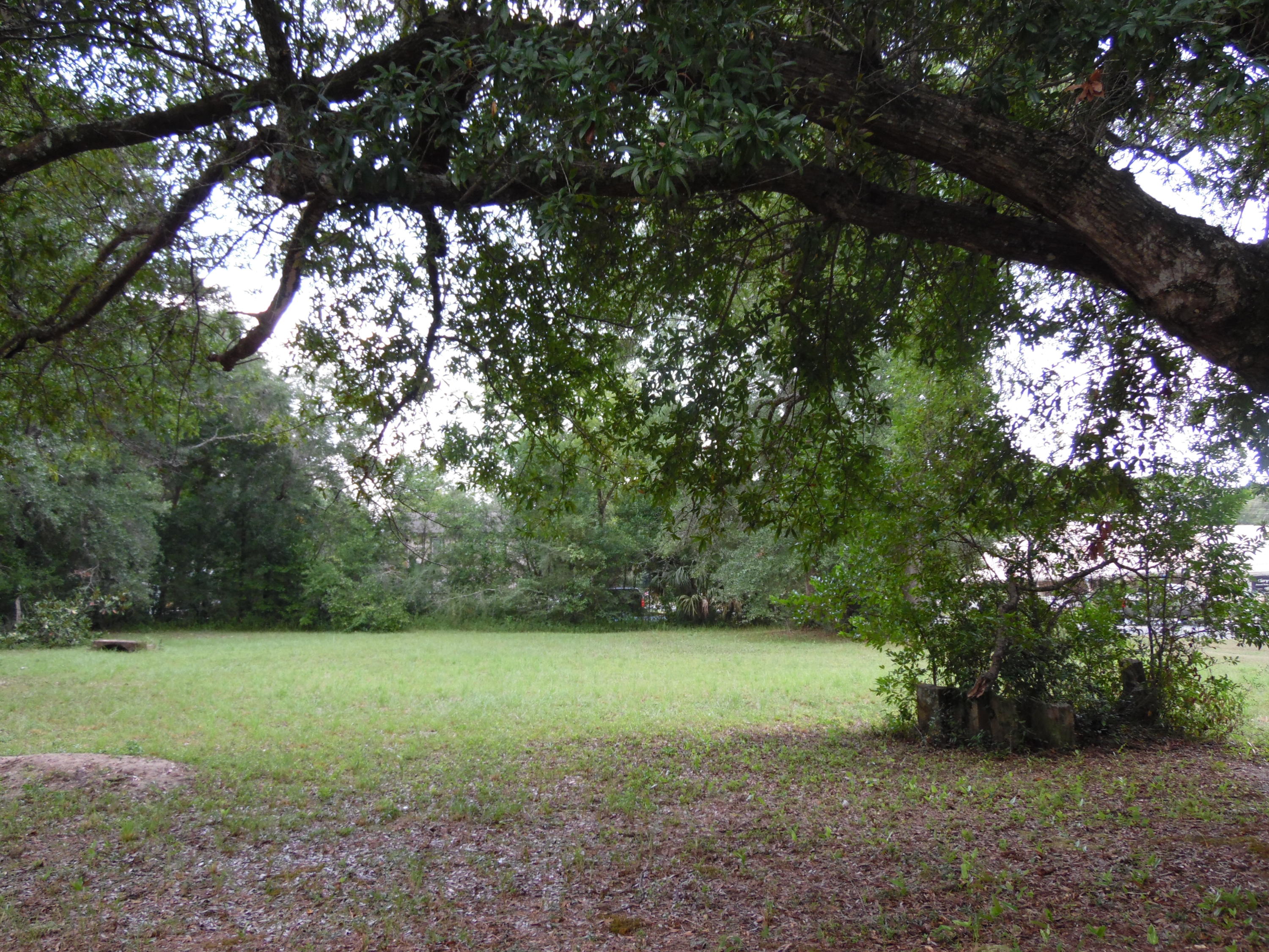 Great corner location right in the heart of DeFuniak Springs, FL. Just blocks away from the historic ''Lake DeFuniak''. A great location with shopping and restaurants nearby. Cleared and level. ZONING- R-1. See attached document tab above right for more information. The lots are appx. 50x140' EACH with a 10' alley. These dimensions are subject to an up-to-date survey. The City of DeFuniak will require both lots to permit a new construction. Only one house may be built on the two lots together.