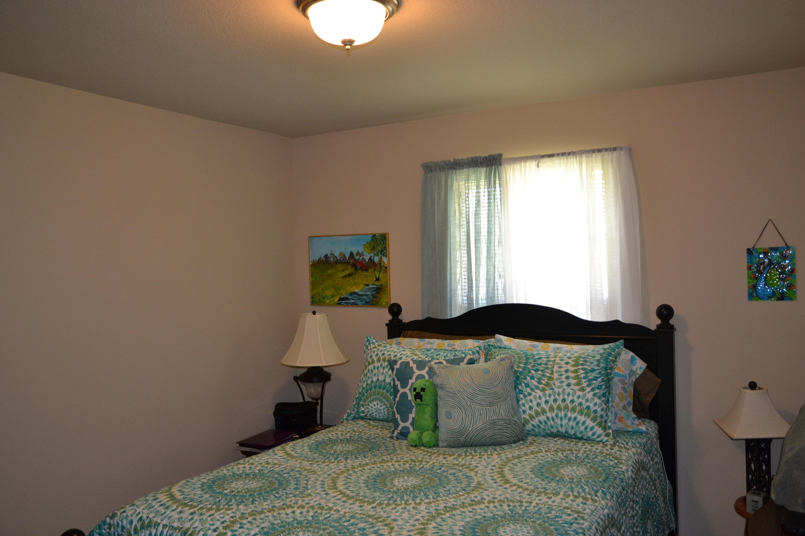 SILVER CREEK ESTATES - Residential