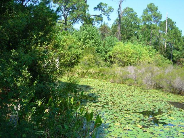 LAKE STANLEY SHORES - Residential