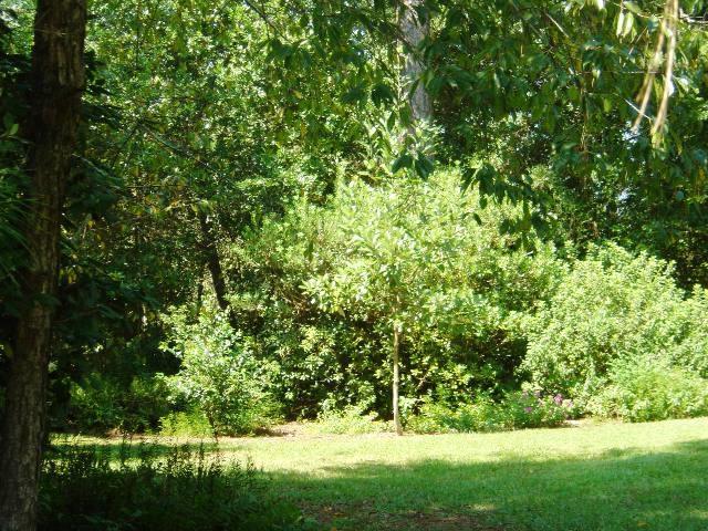 LAKE STANLEY SHORES - Residential