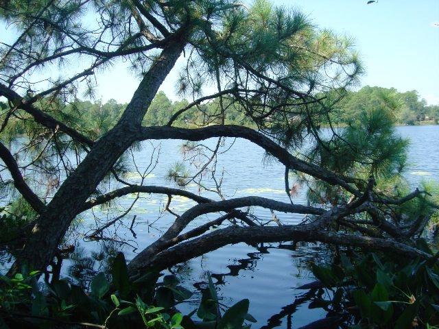 LAKE STANLEY SHORES - Residential