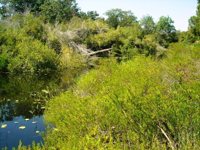 LAKE STANLEY SHORES - Residential