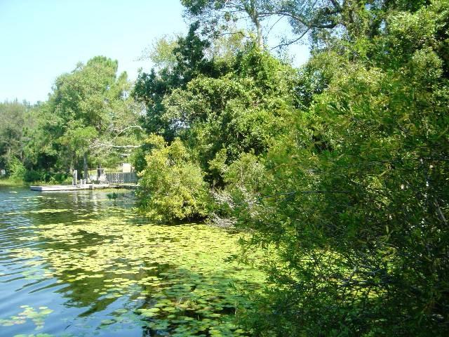 LAKE STANLEY SHORES - Residential