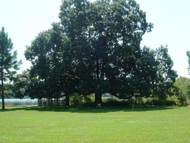 LAKE STANLEY SHORES - Residential