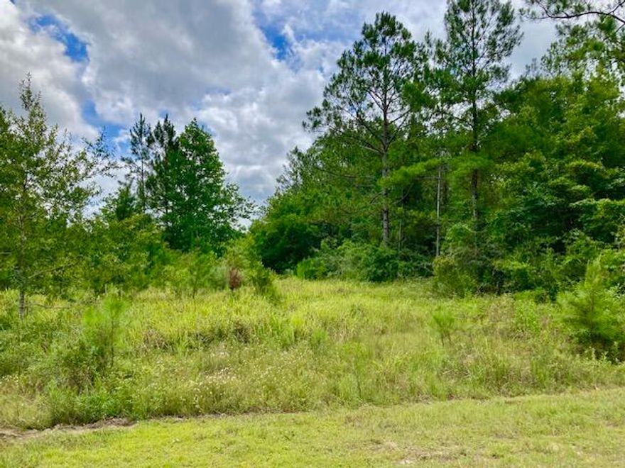 OVER 18 ACRES OF PLANTED PINES located on a paved road in Walton County .This timberland has been in the same family since 1931! Great place for a homesite, hunting, four-runners, or log the trees.  Excellent price for this parcel.  There is a creek and some wetlands on the property to attract wildlife, but there's also plenty of room in the front to build your dream homestead.