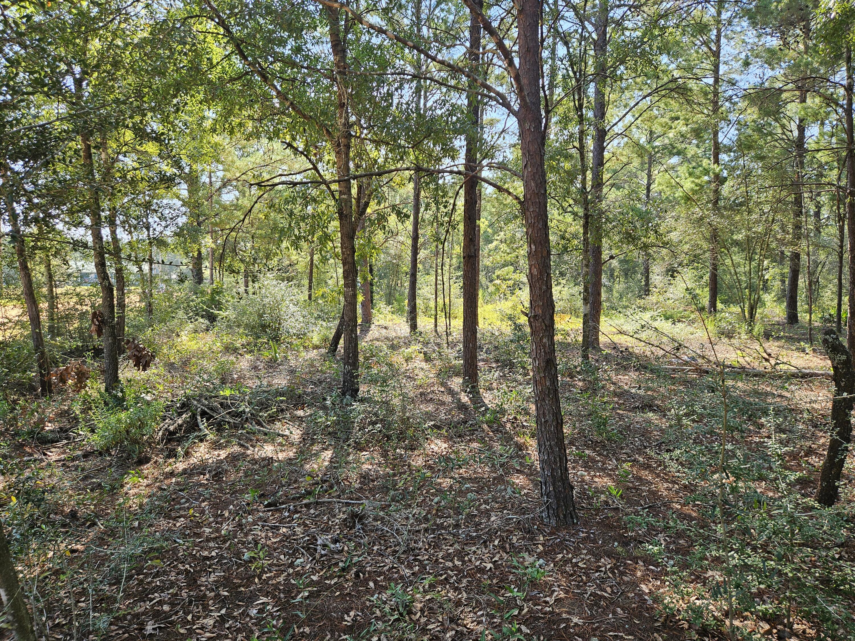 4 contiguous and level lots in the Oakwood Hills neighborhood in growing Mossy Head, Florida.  High and dry, flood zone X, manufactured homes allowed.  Clear your homesite and get busy.  45 minutes to the white sand beaches of south Walton county.  Within 6 miles of Highway 285 and Interstate 10 interchange for an easy commute south, east and west.  Come and take a look today!