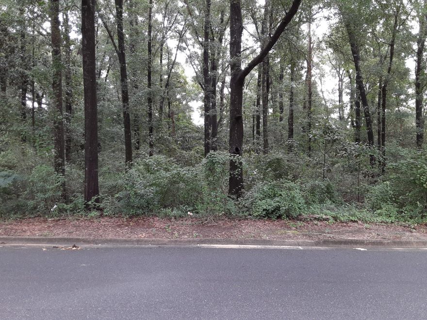 This is one of two lots side by side that is available.  The property is level and wooded. The adjacent lot is also available.  It is approximately the same dimensions. 68.38 x 212.97 x 68.38 x 212.97