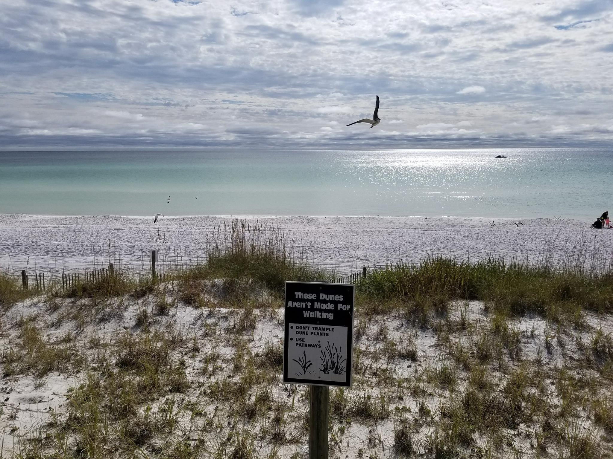 EMERALD WATERS - Residential